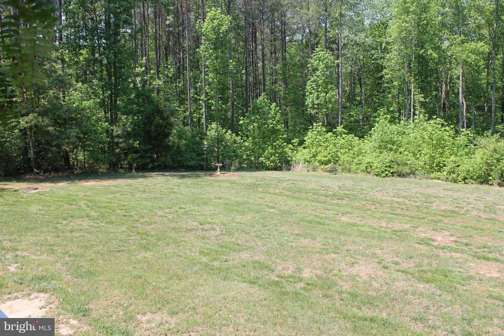 6001 Glebe Run Road Partlow, VA 22534 - Photo 6 of 30 Exterior (General)