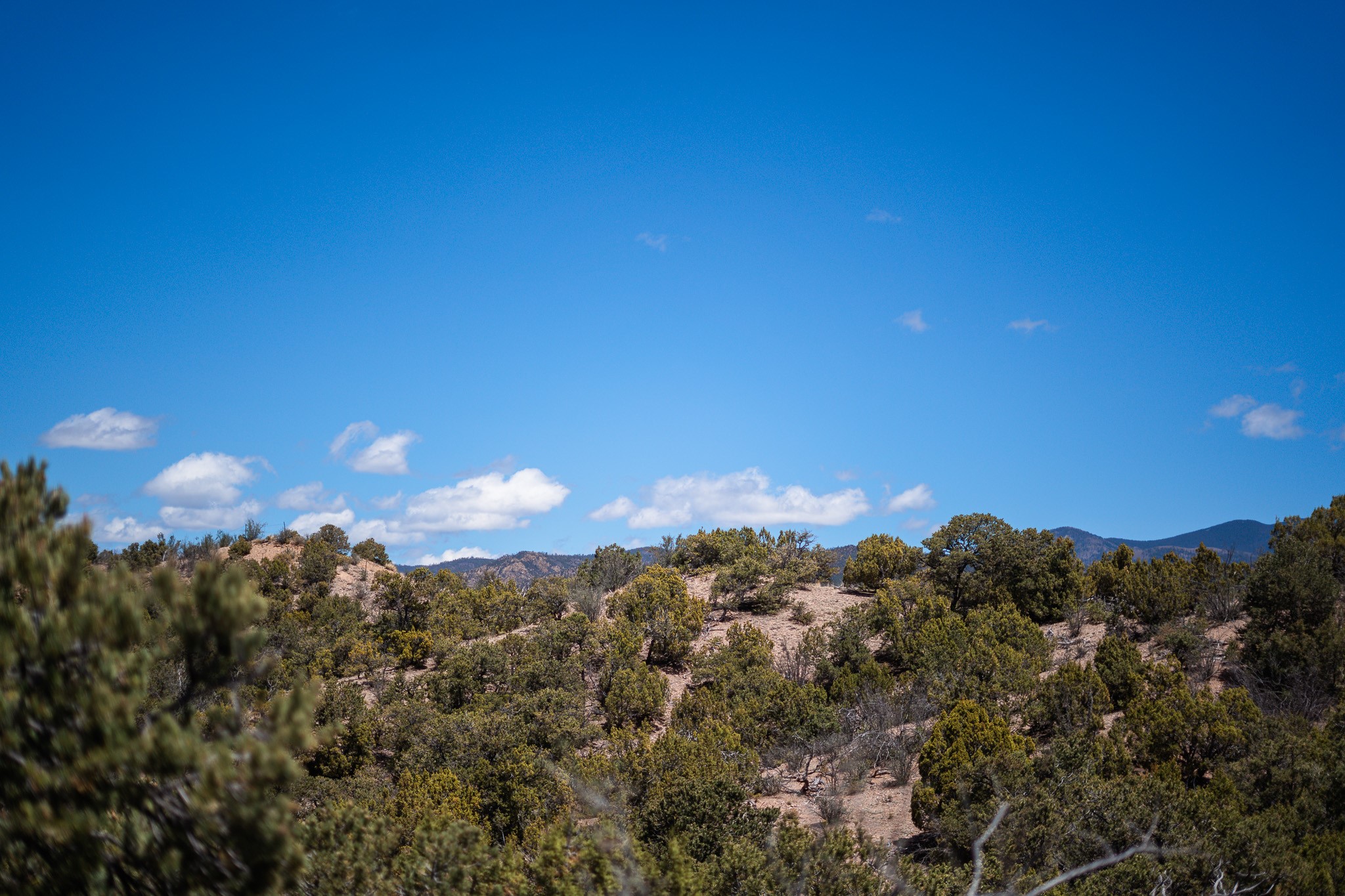 67-acres Red Ridge Santa Fe, NM 87501 - Photo 35 of 40 North Lot