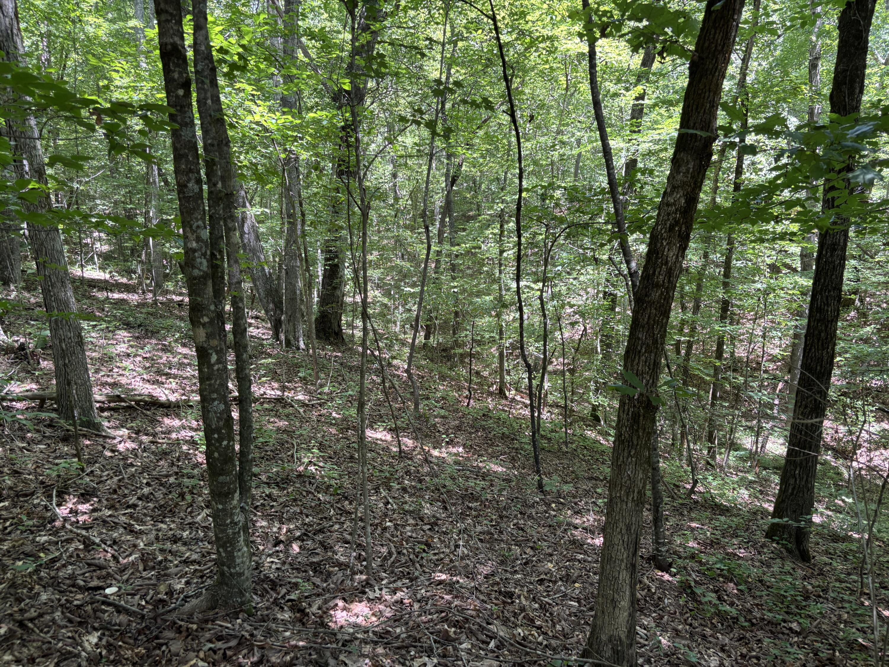 0 Deer Ridge Estates Road Whitwell, TN 37397 - Photo 11 of 35 Photo Jul 18 2025, 1 19 46 PM
