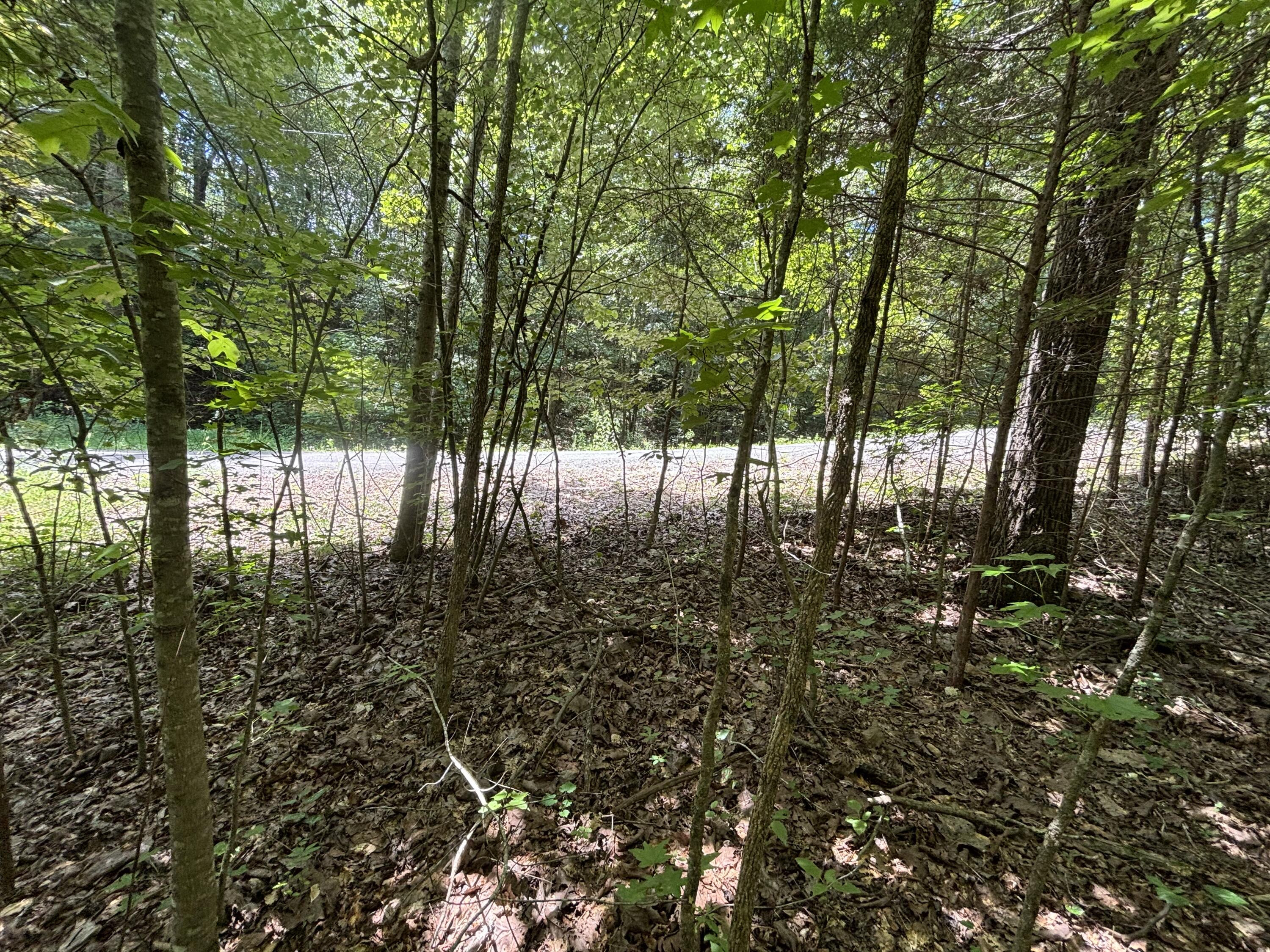 0 Deer Ridge Estates Road Whitwell, TN 37397 - Photo 21 of 35 Photo Jul 18 2025, 1 23 27 PM