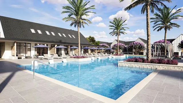 a view of a swimming pool with a chair and palm trees