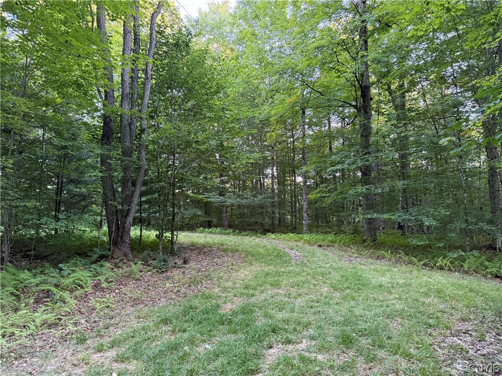 Lot 1 River Road Forestport, NY 13338 - Photo 1 of 13 Gallery Image 1