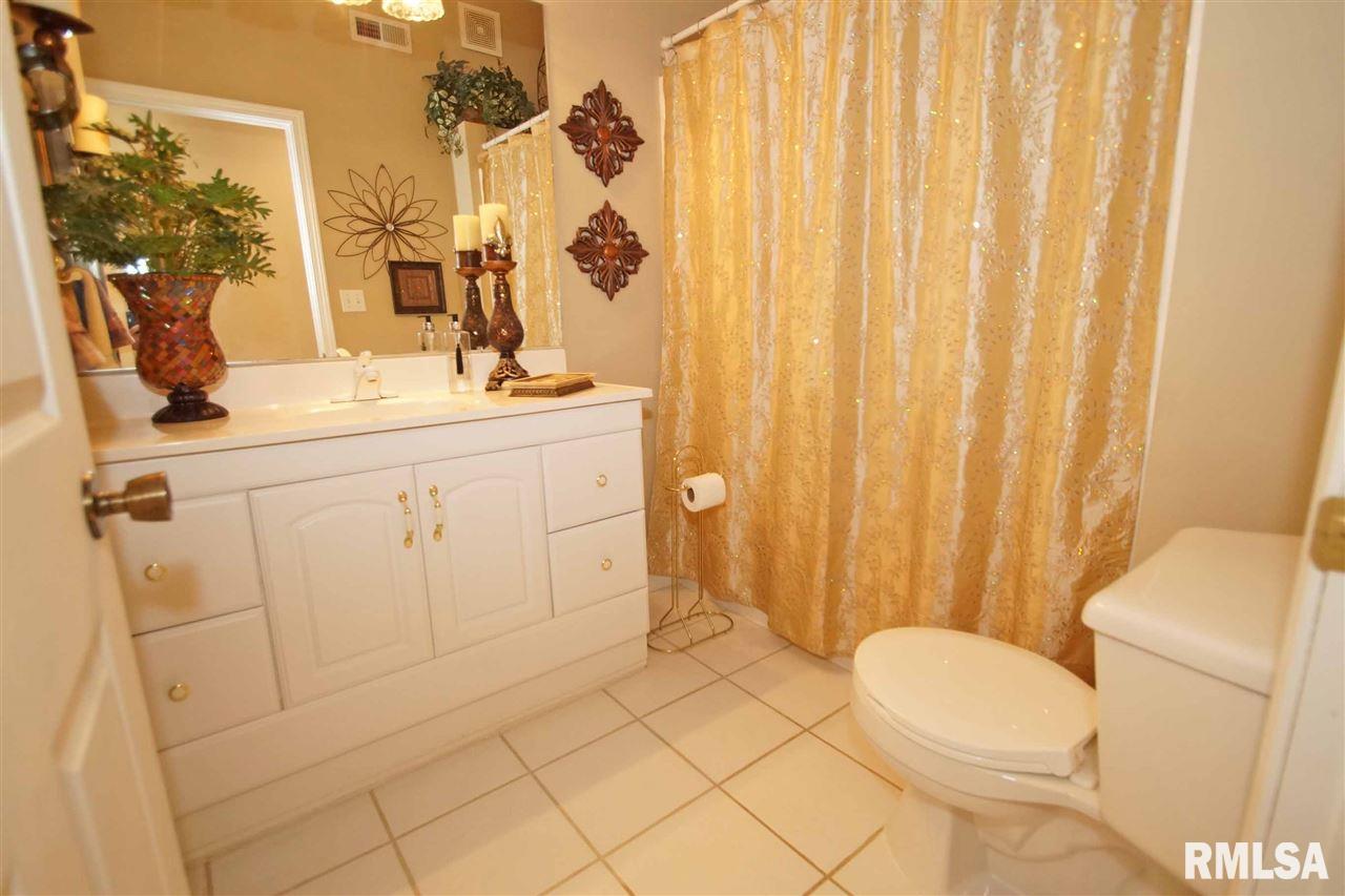 9109 Trigger Road Edwards, IL 61528 - Photo 22 of 30 Gallery Image 22