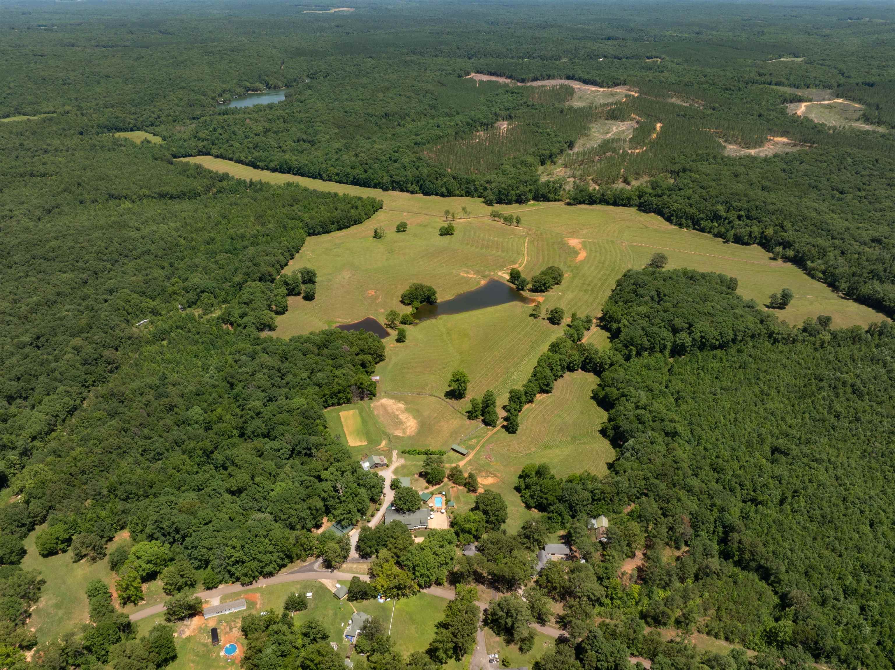155 Carlins Road Hornsby, TN 38044 - Photo 39 of 40 Birds eye view of property