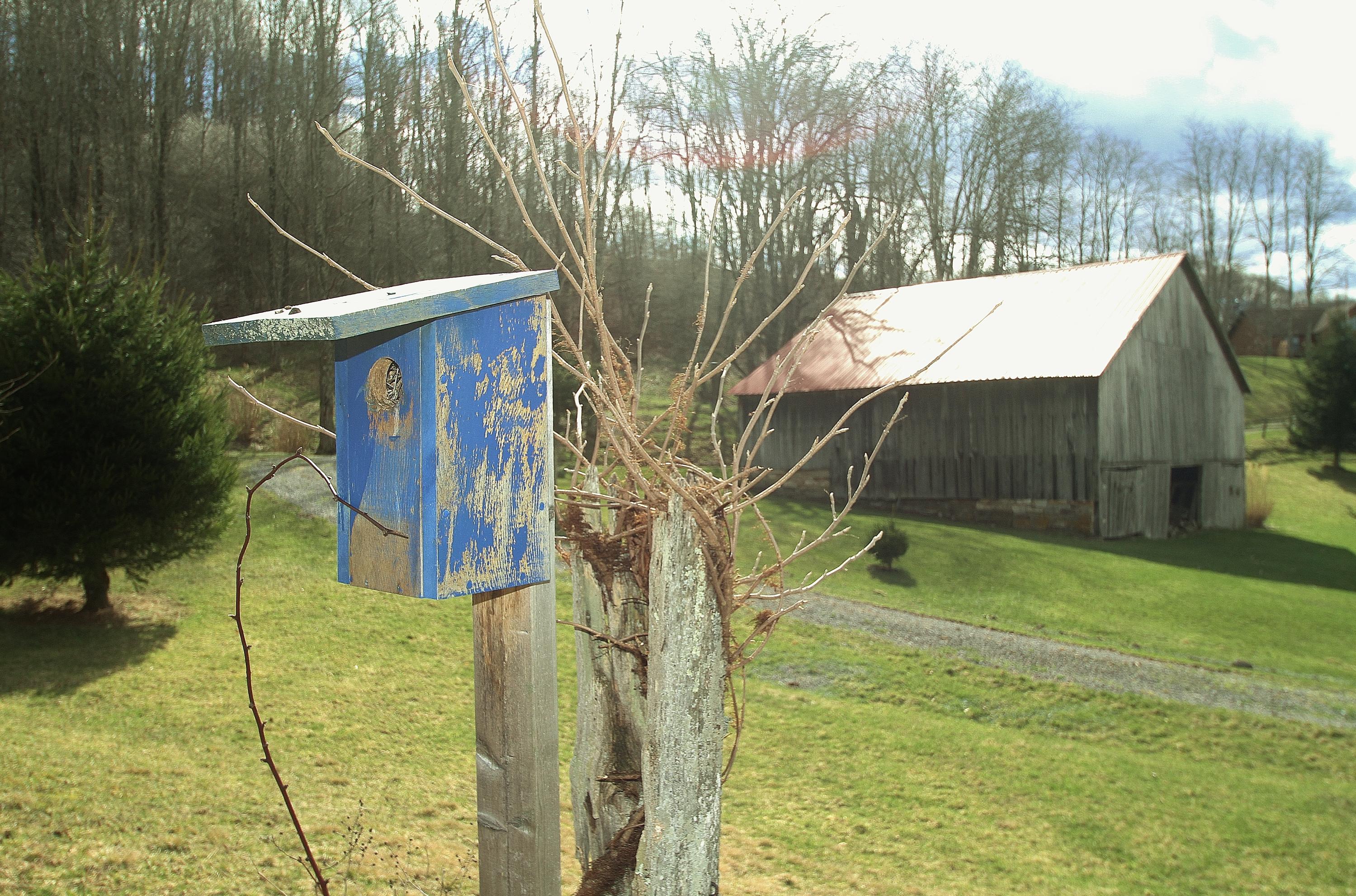 9102 Dry Branch Road Valley Head, WV 26294 - Photo 75 of 83 Gallery Image 75