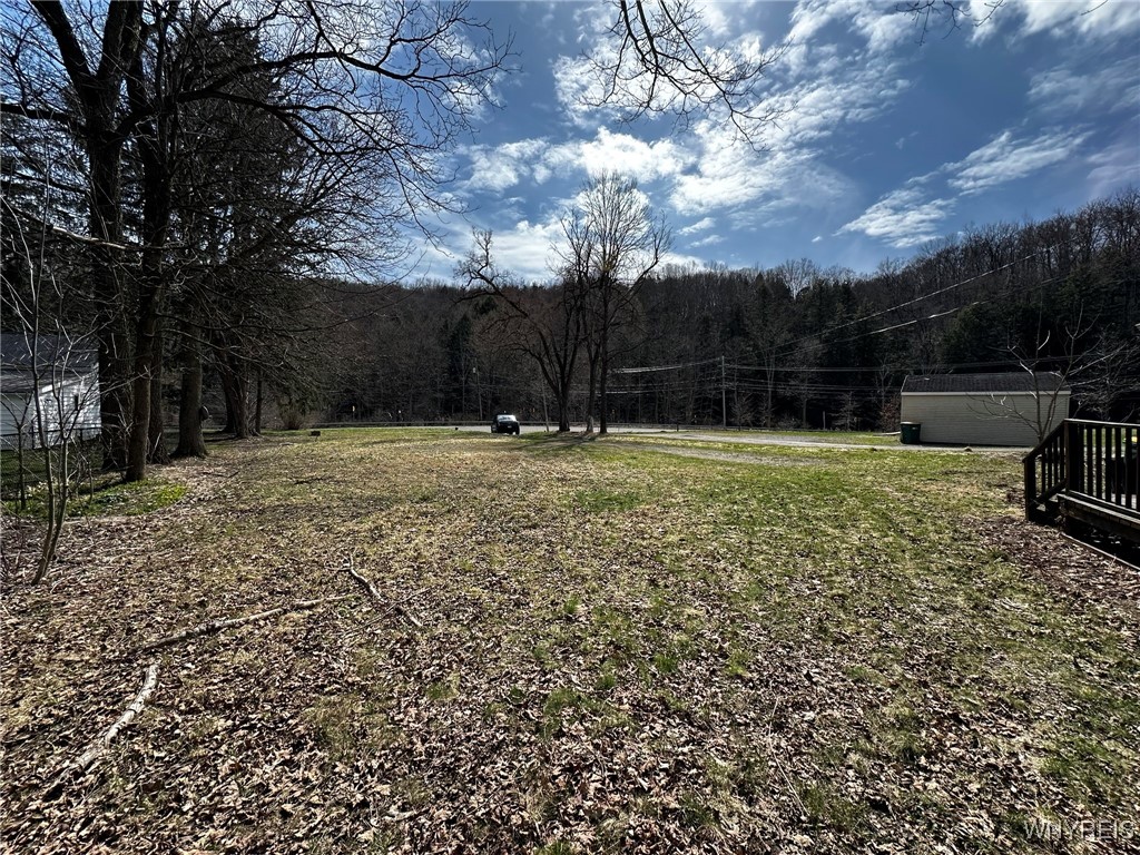 9183 State Road Colden, NY 14033 - Photo 5 of 35