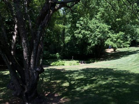 6848 Reddege Road Knoxville, TN 37918 - Photo 15 of 16 Yard