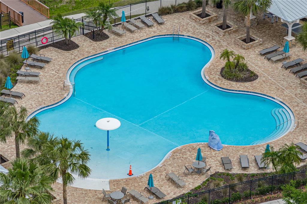 19099 Long Lake Ranch Boulevard Lutz, FL 33558 - Photo 59 of 73