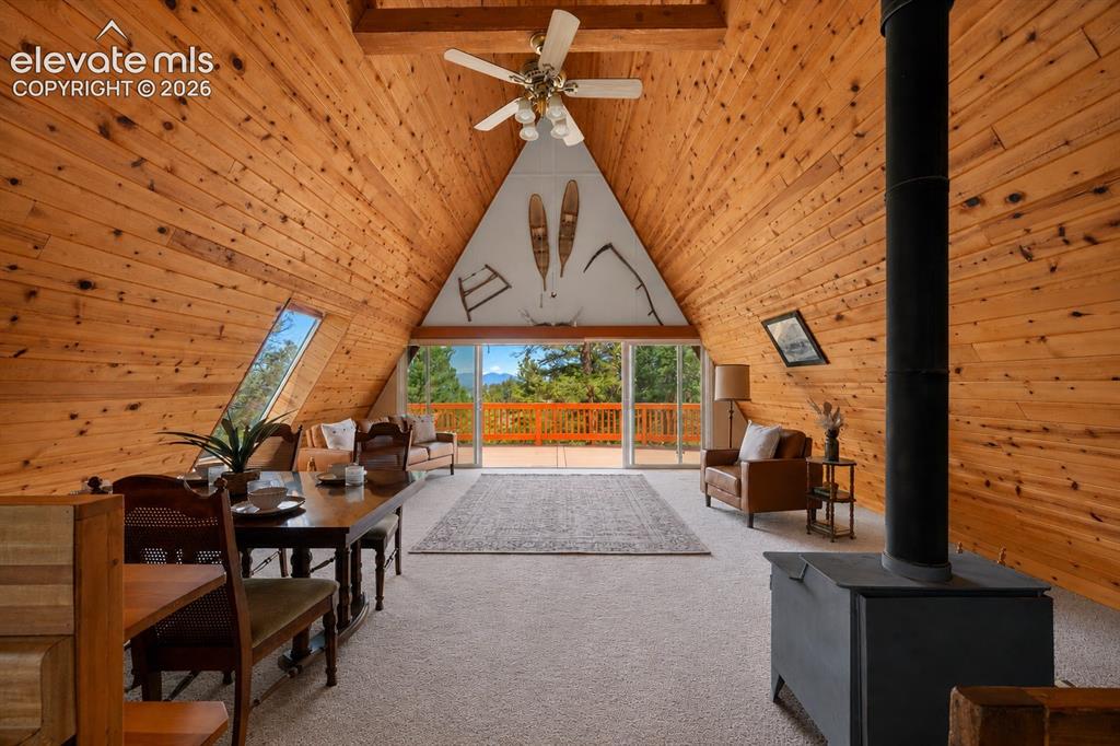873 Trail Creek Road Lake George, CO 80827 - Photo 6 of 32