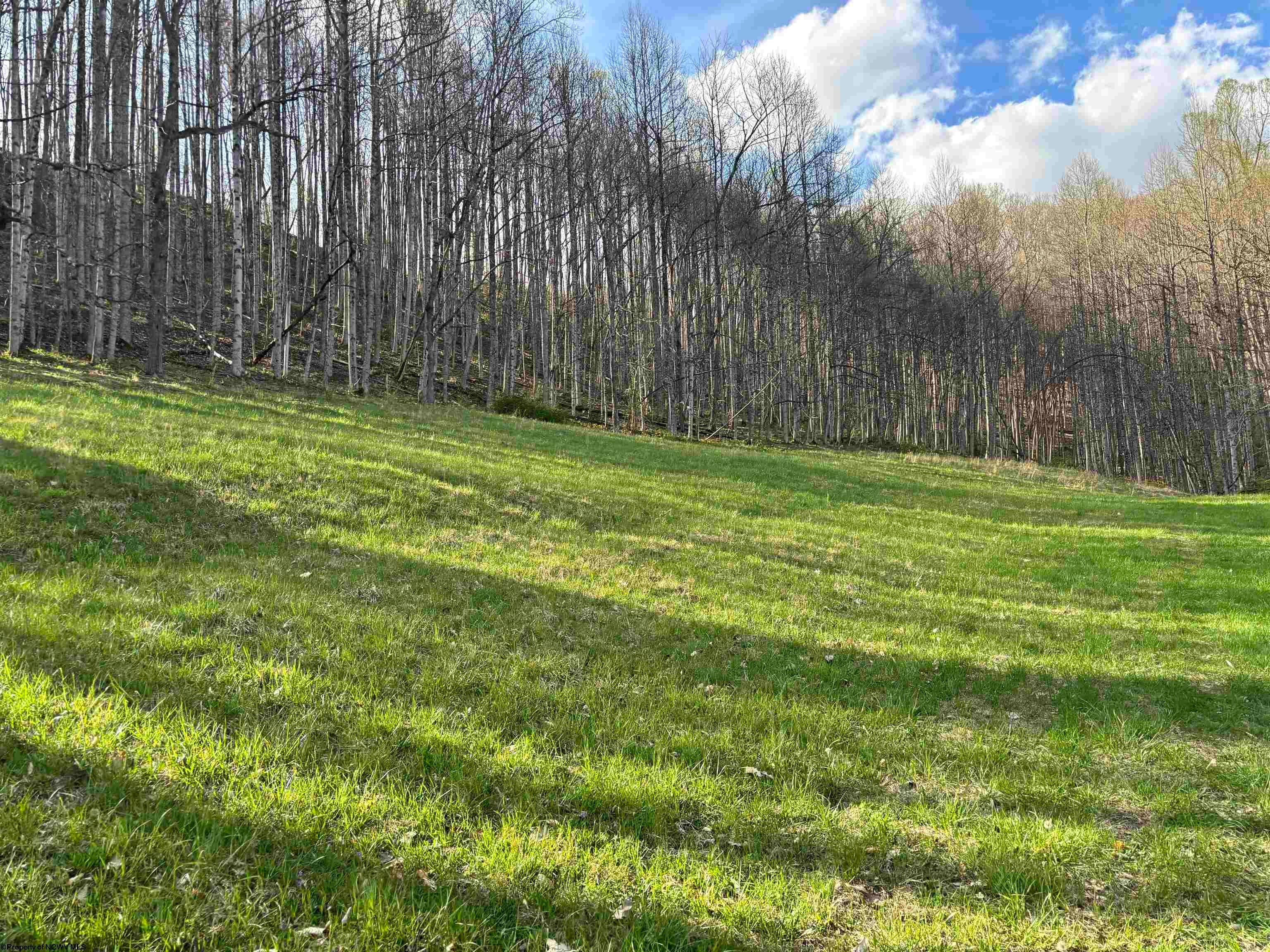 1021 Clover Run Road Montrose, WV 26283 - Photo 20 of 33 Gallery Image 20