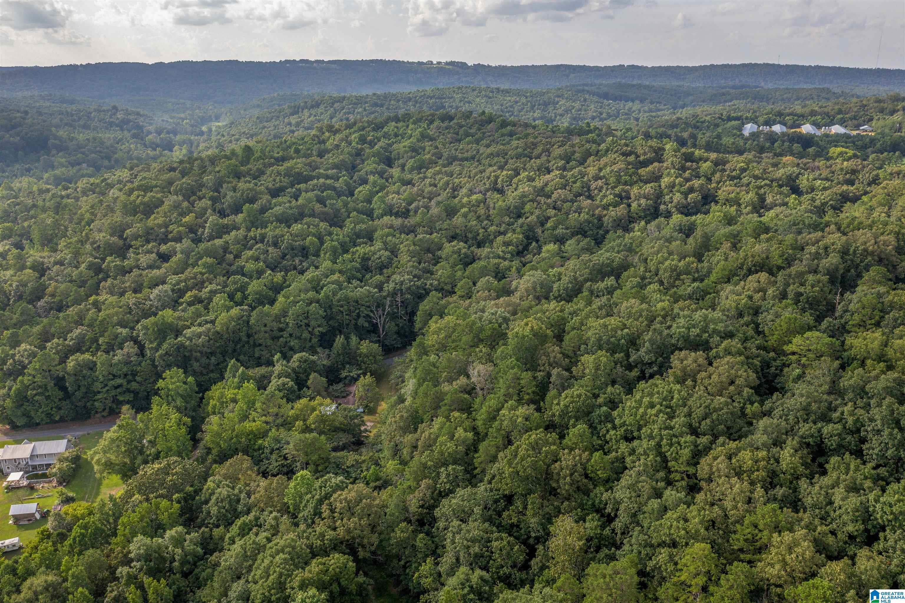 160 Mill Hill Road Attalla, AL 35954 - Photo 7 of 26