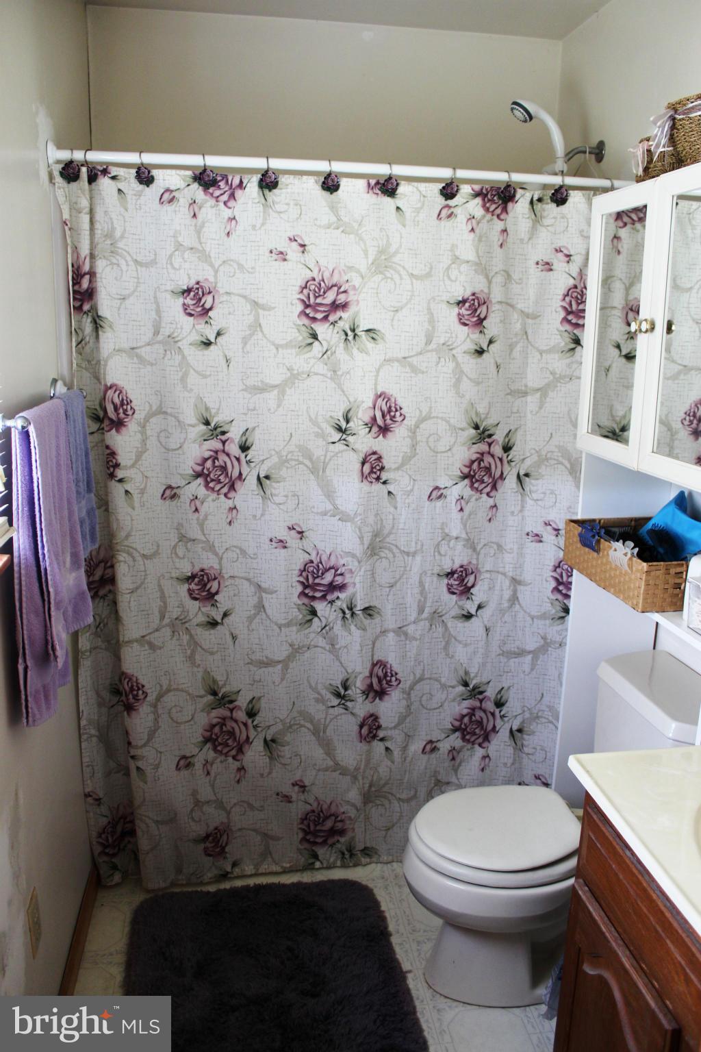 14565 Mercersburg Road Clear Spring, MD 21722 - Photo 15 of 15 a bathroom with a toilet and a shower curtain