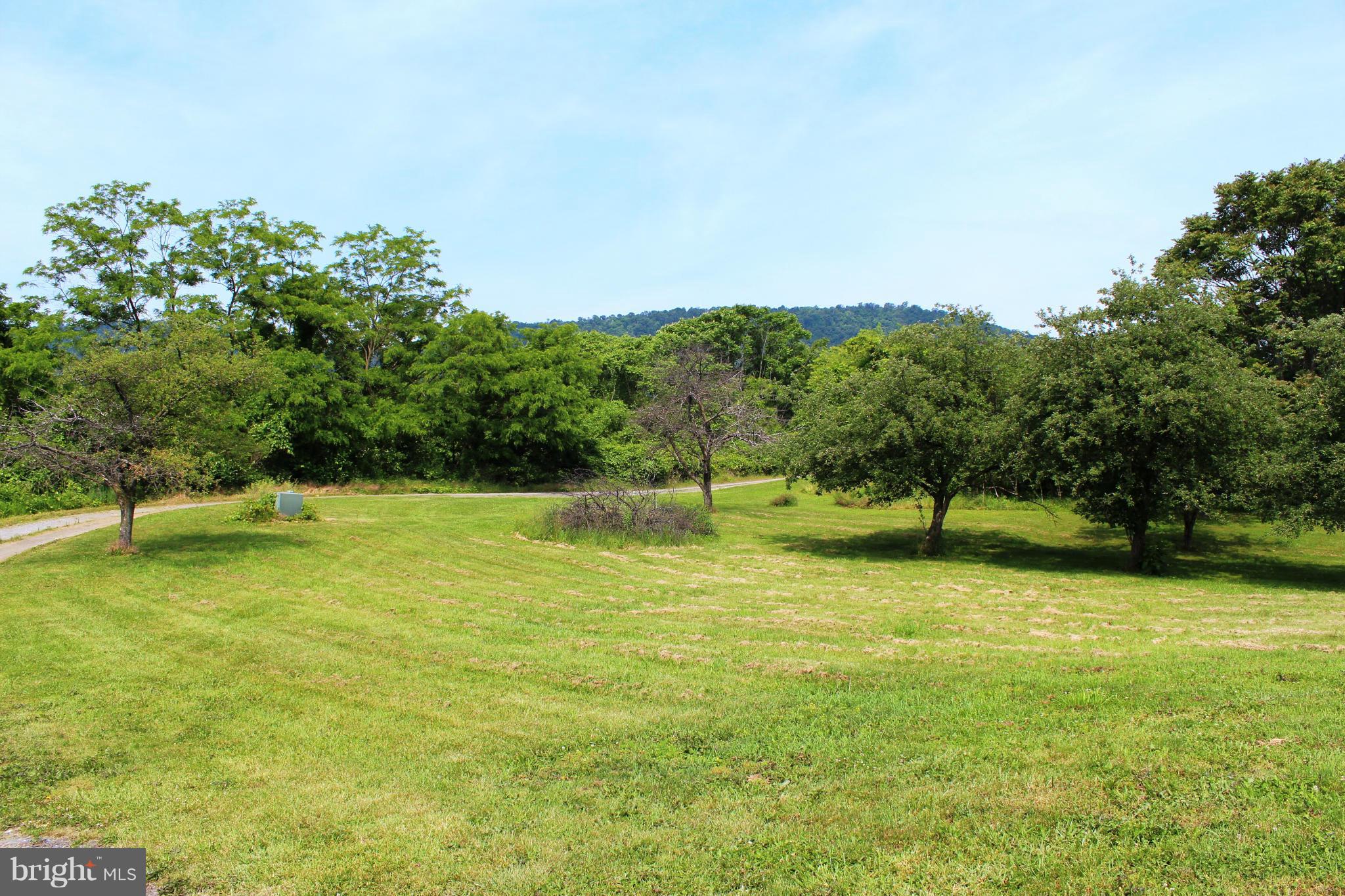 14565 Mercersburg Road Clear Spring, MD 21722 - Photo 5 of 15 a view of a field with trees in the background