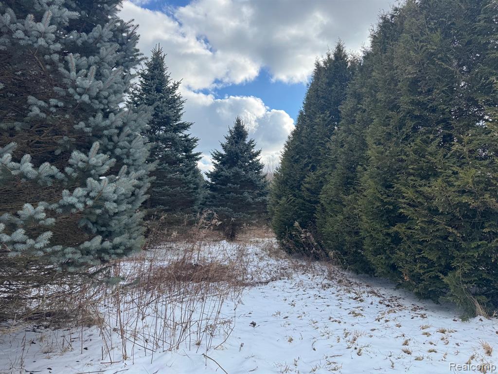 0 Remer Road East China, MI 48054 - Photo 5 of 12 Gallery Image 5