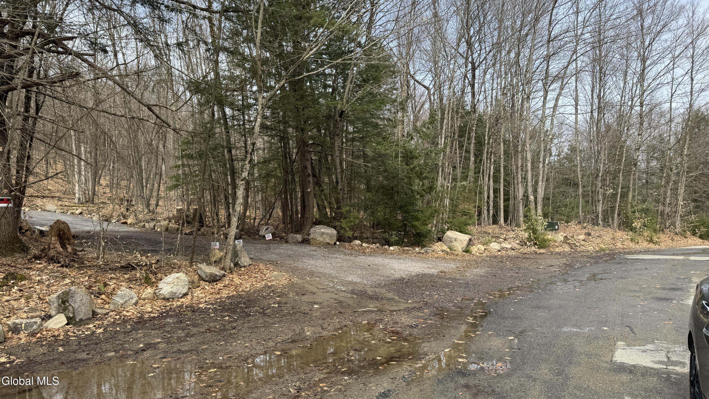 4 Spring Woods Diamond Point, NY 12824 - Photo 1 of 17 IMG_7990