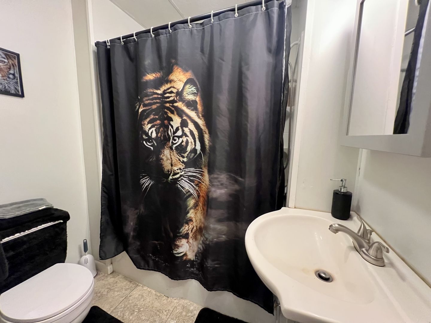 205 East Street Penfield, IL 61862 - Photo 17 of 20