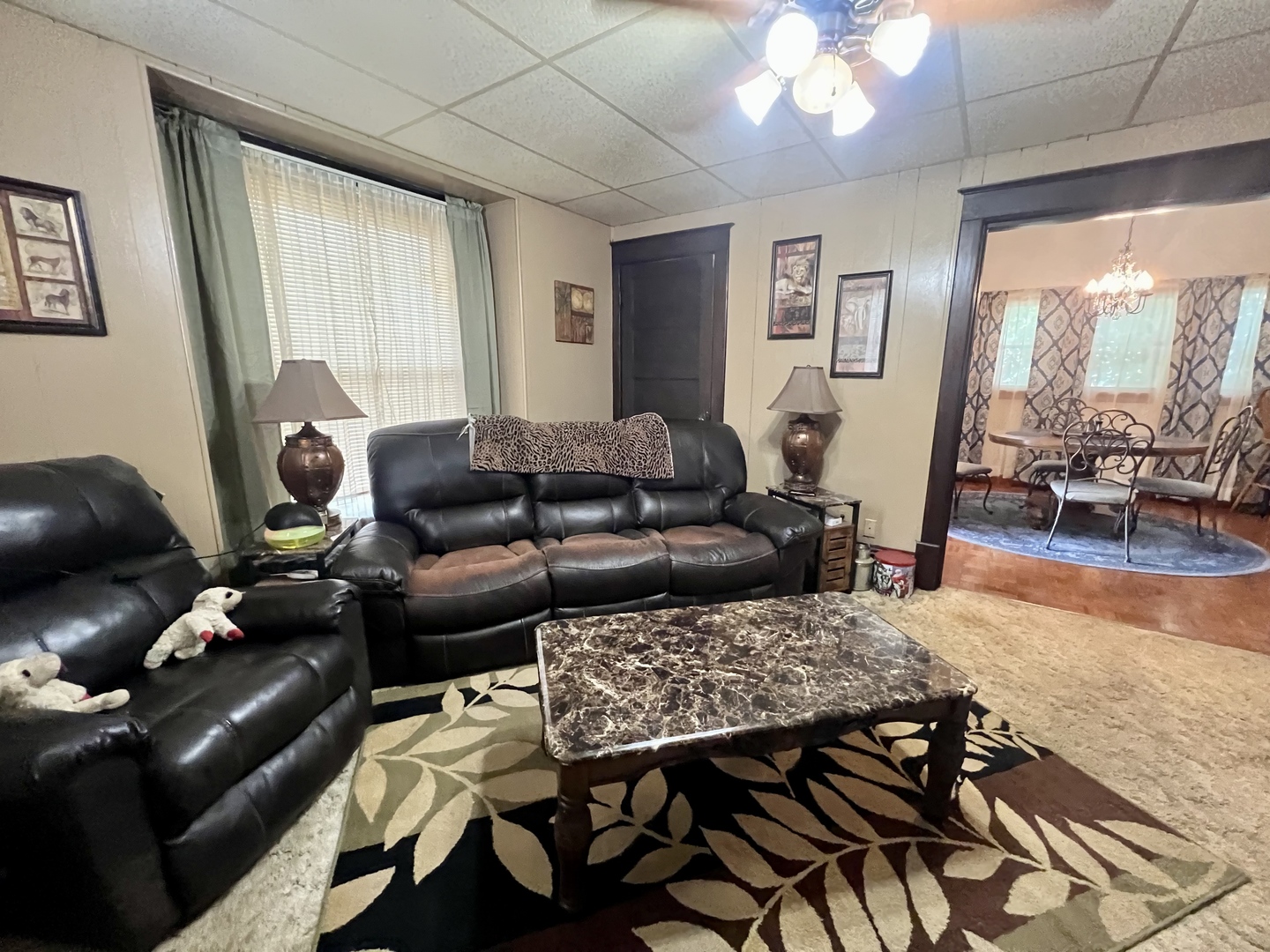 205 East Street Penfield, IL 61862 - Photo 4 of 20