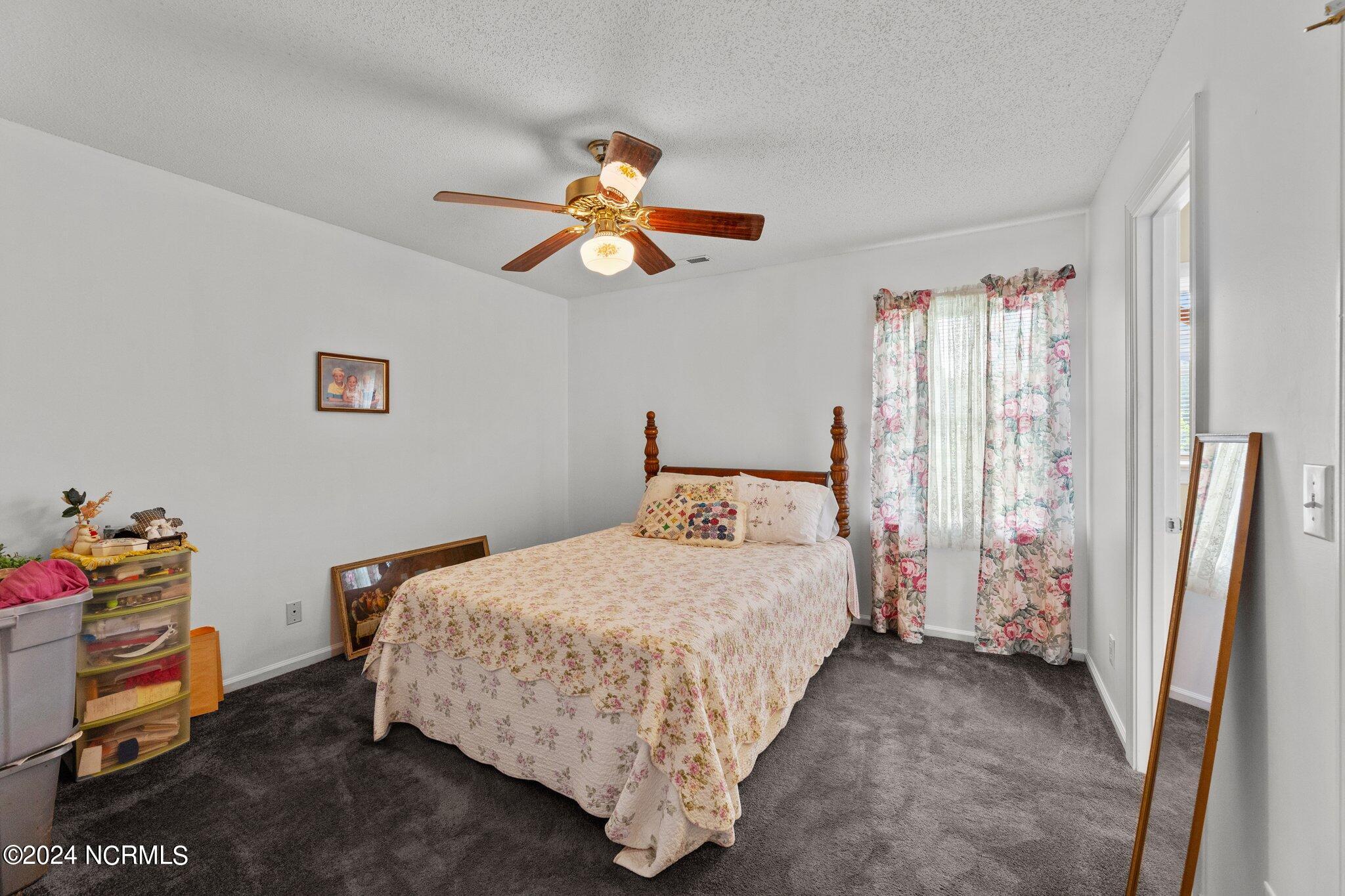 3398 Alvin Road Grimesland, NC 27837 - Photo 20 of 52 MASTER SUITE