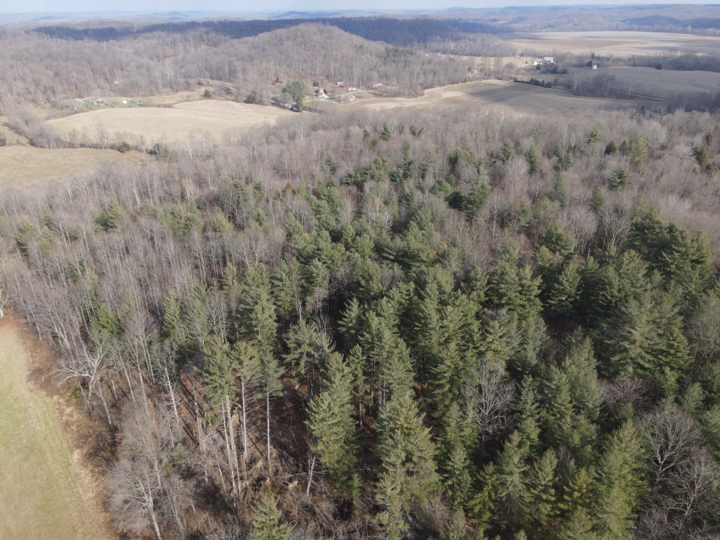 Tbd Hickory Ridge Road Shoals, IN 47581 - Photo 1 of 35