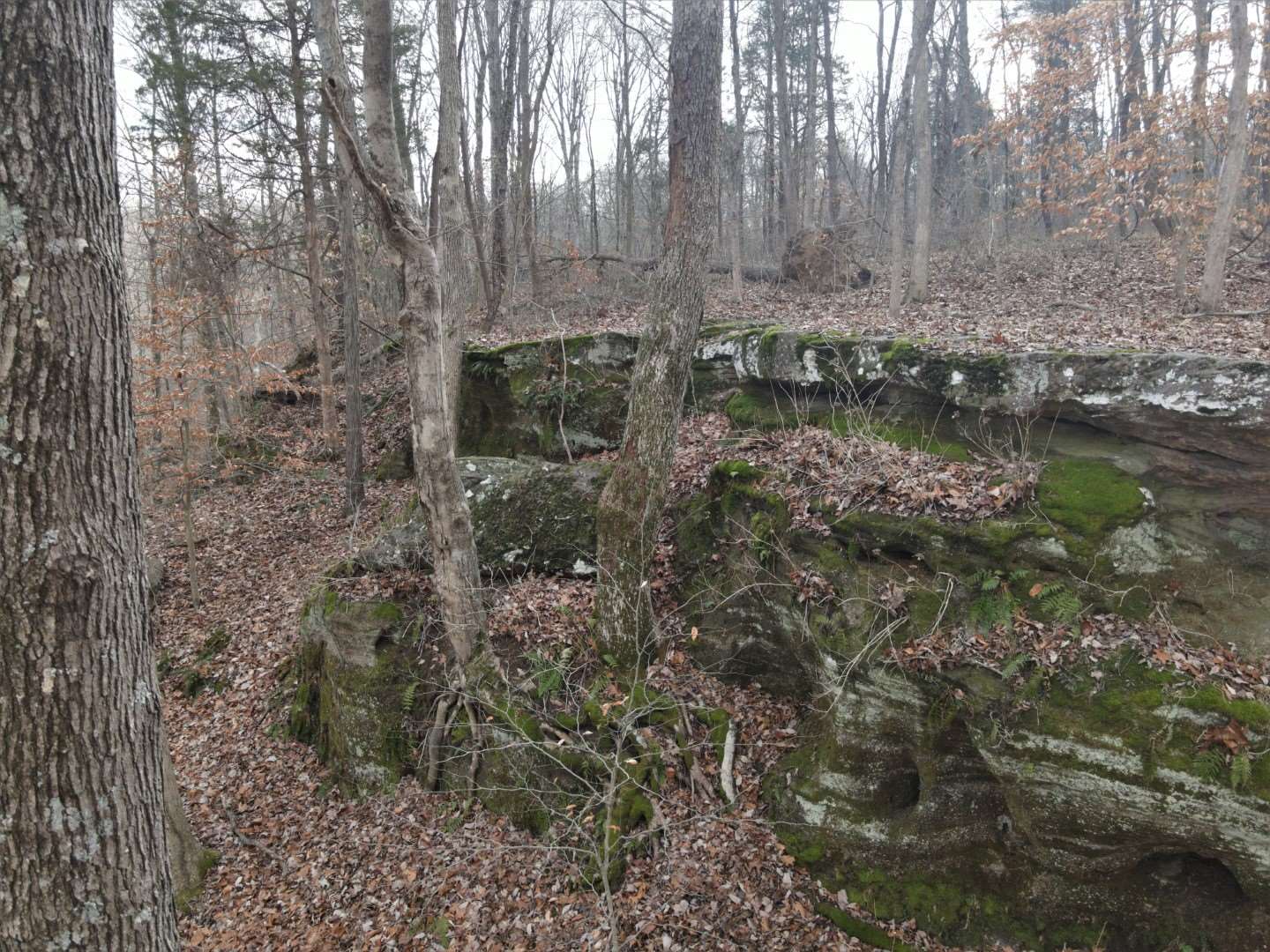 Tbd Hickory Ridge Road Shoals, IN 47581 - Photo 2 of 35