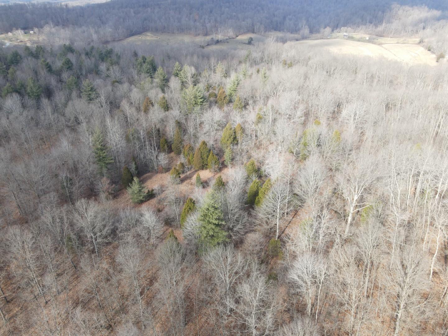Tbd Hickory Ridge Road Shoals, IN 47581 - Photo 13 of 35