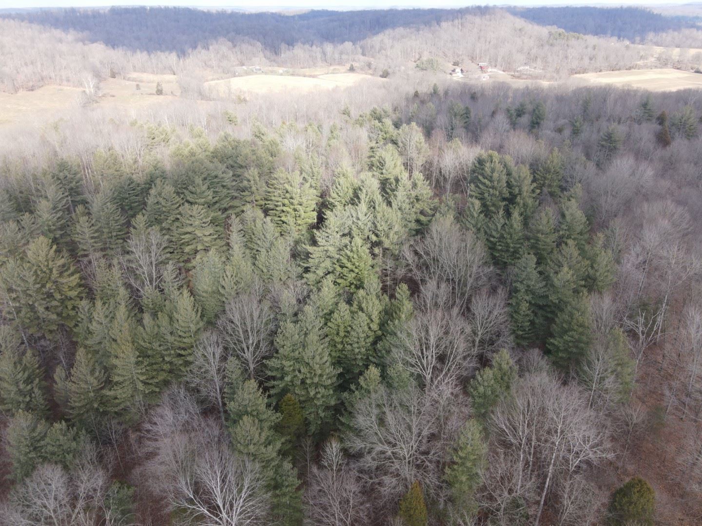 Tbd Hickory Ridge Road Shoals, IN 47581 - Photo 14 of 35