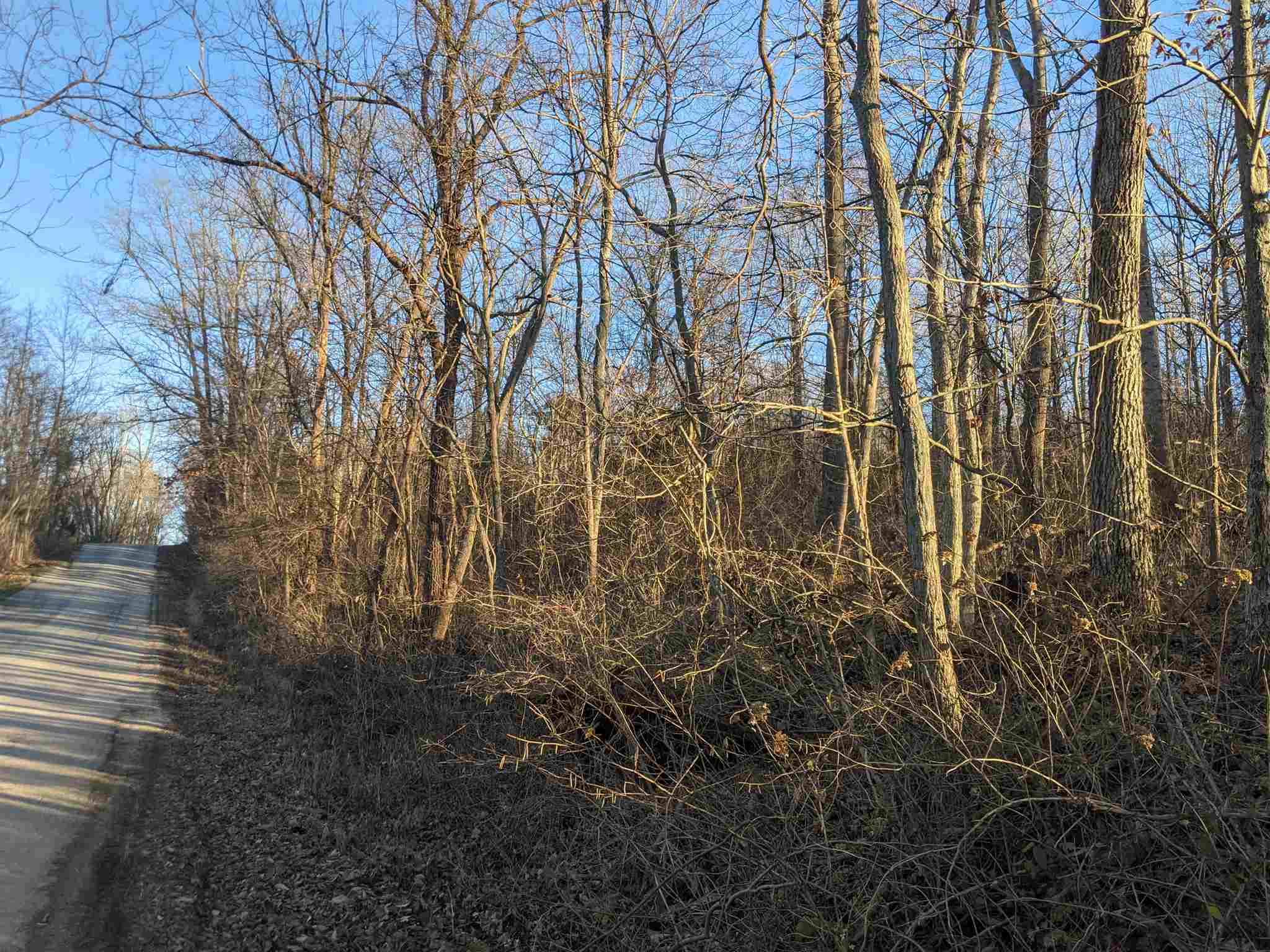 Tbd Hickory Ridge Road Shoals, IN 47581 - Photo 15 of 35