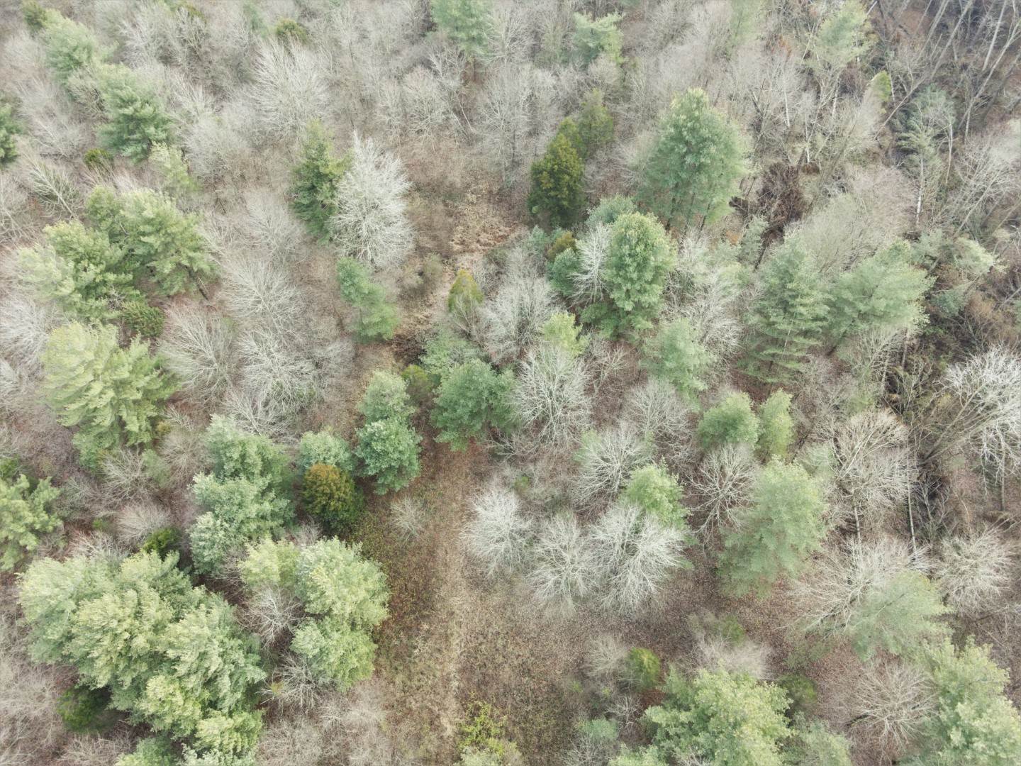 Tbd Hickory Ridge Road Shoals, IN 47581 - Photo 16 of 35