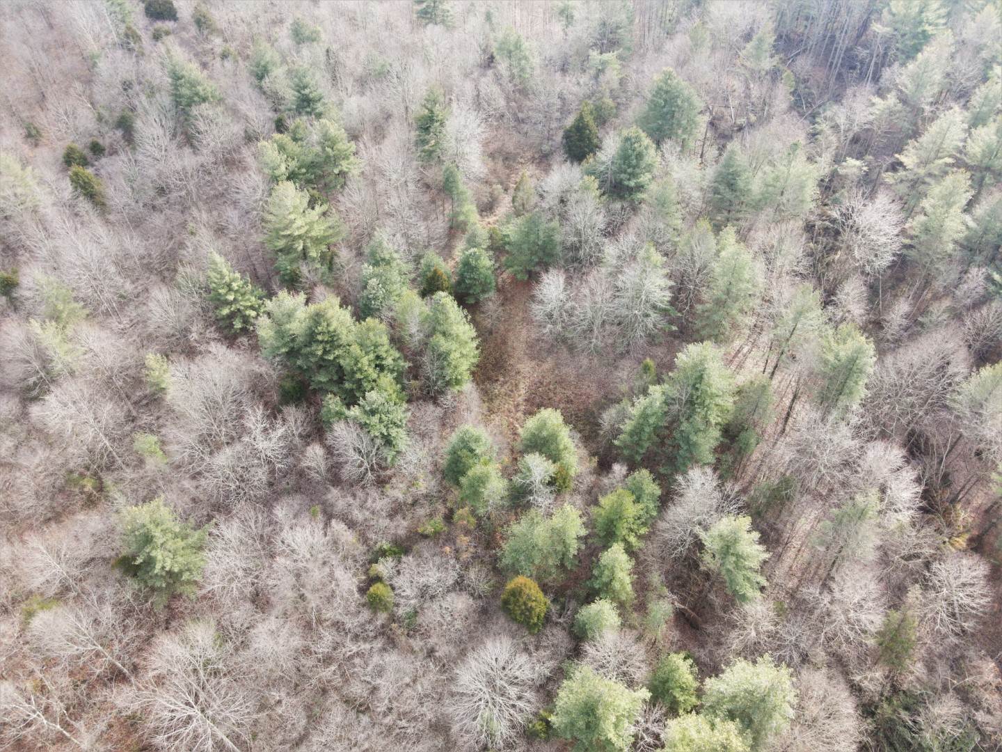 Tbd Hickory Ridge Road Shoals, IN 47581 - Photo 17 of 35