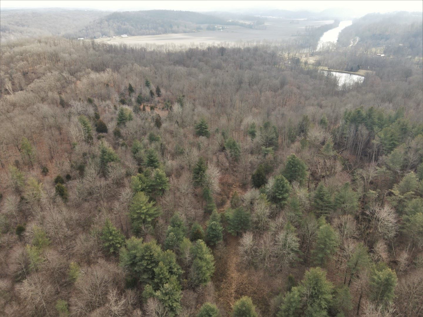 Tbd Hickory Ridge Road Shoals, IN 47581 - Photo 18 of 35