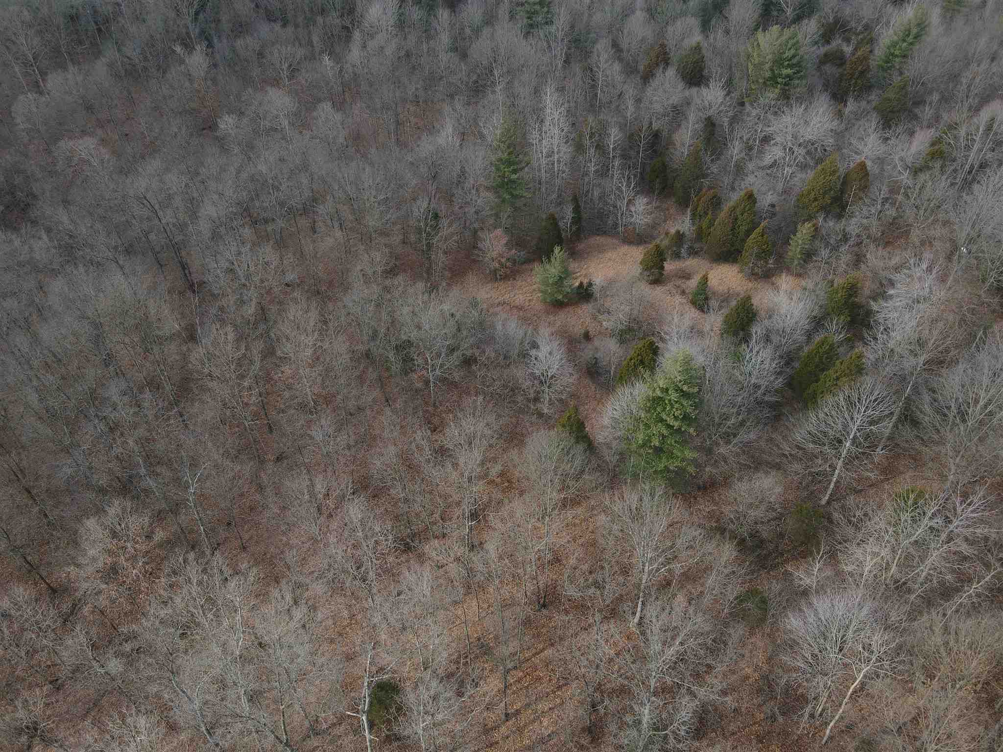Tbd Hickory Ridge Road Shoals, IN 47581 - Photo 3 of 35