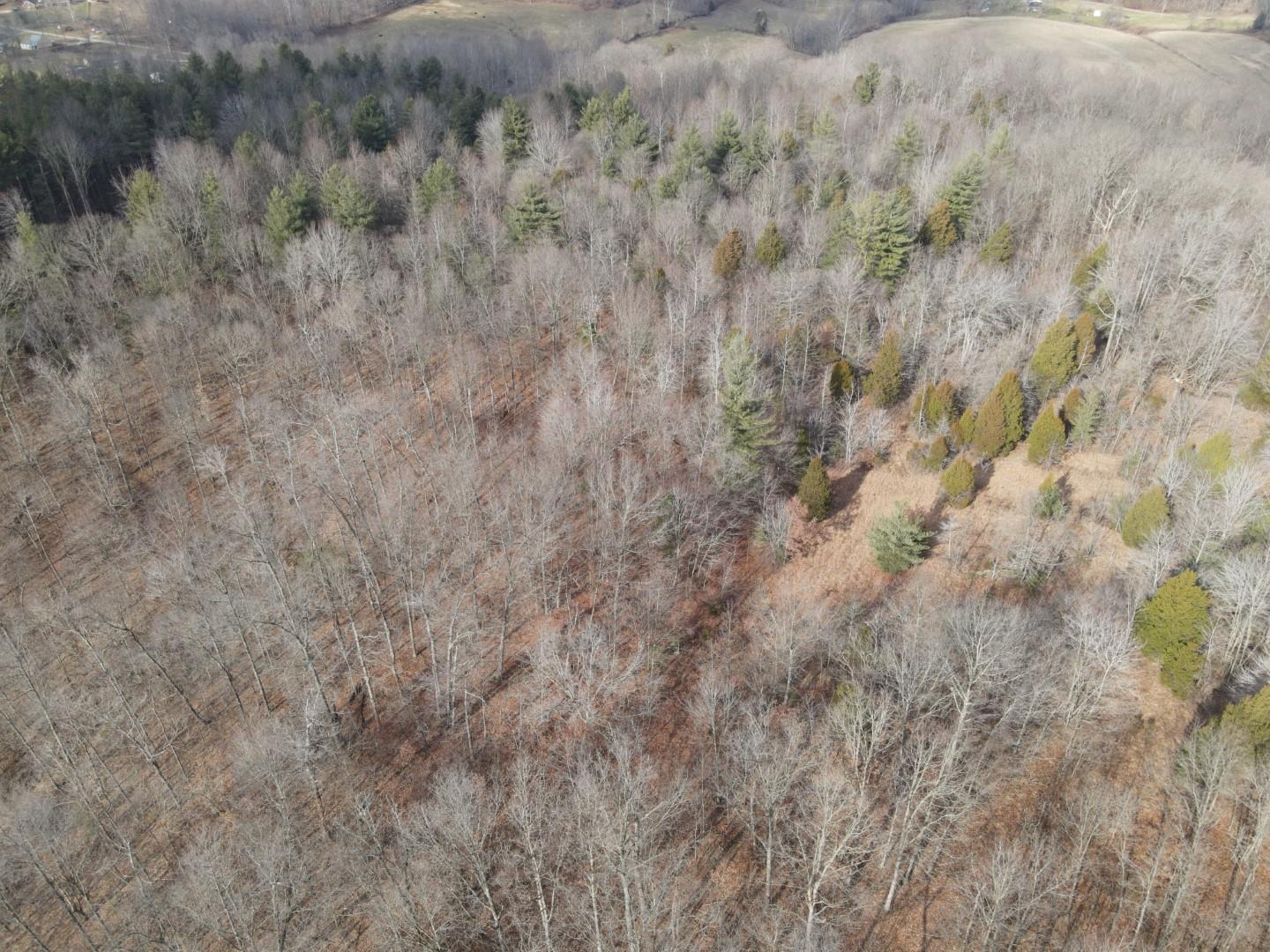 Tbd Hickory Ridge Road Shoals, IN 47581 - Photo 24 of 35