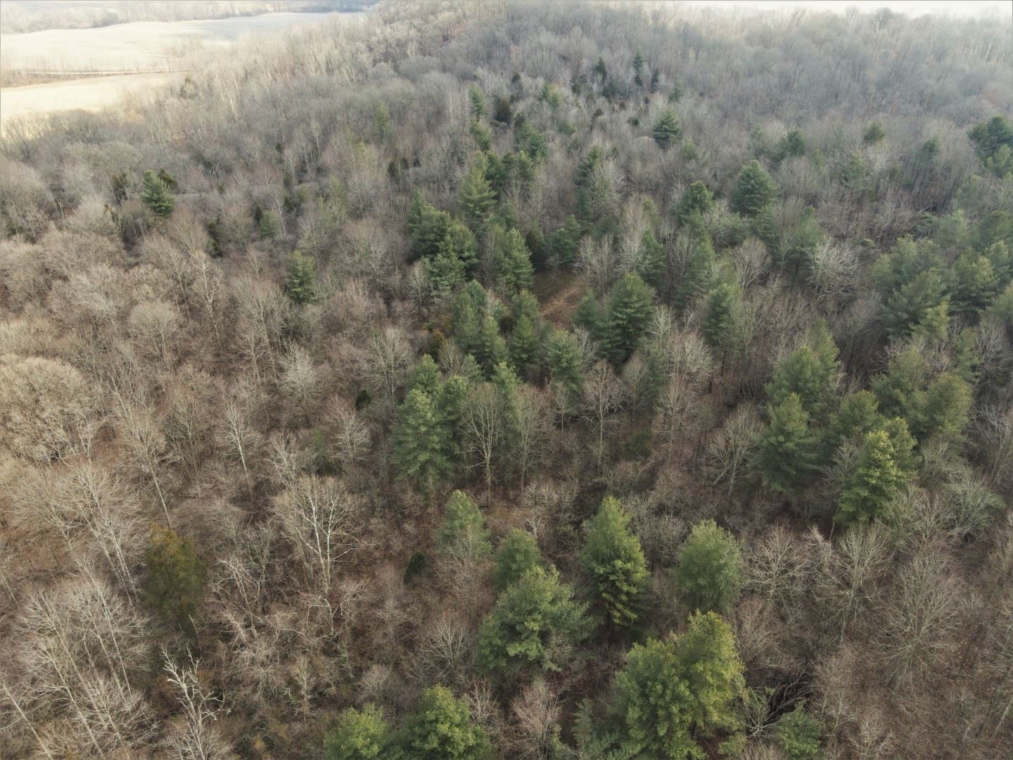 Tbd Hickory Ridge Road Shoals, IN 47581 - Photo 25 of 35