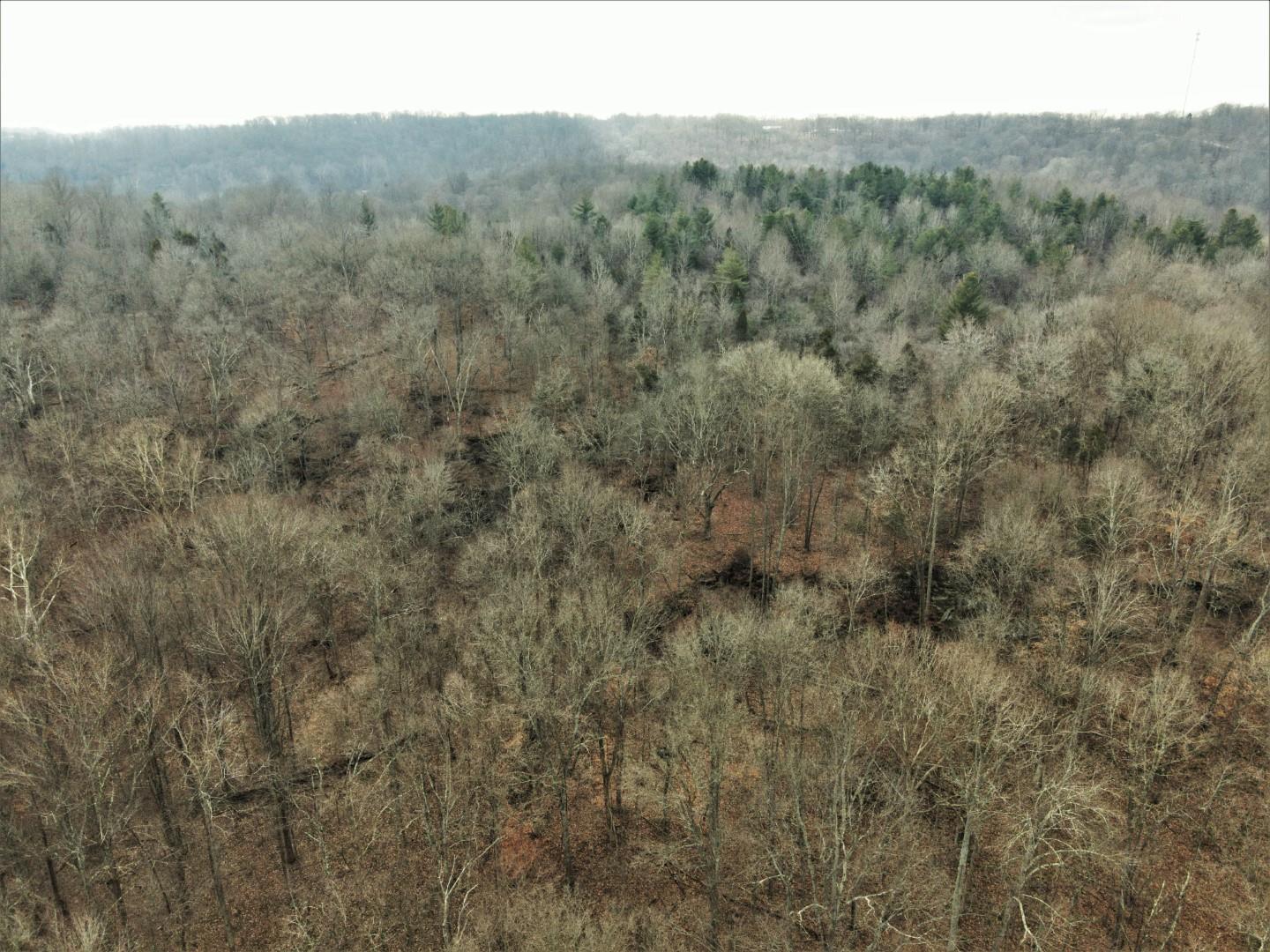 Tbd Hickory Ridge Road Shoals, IN 47581 - Photo 26 of 35