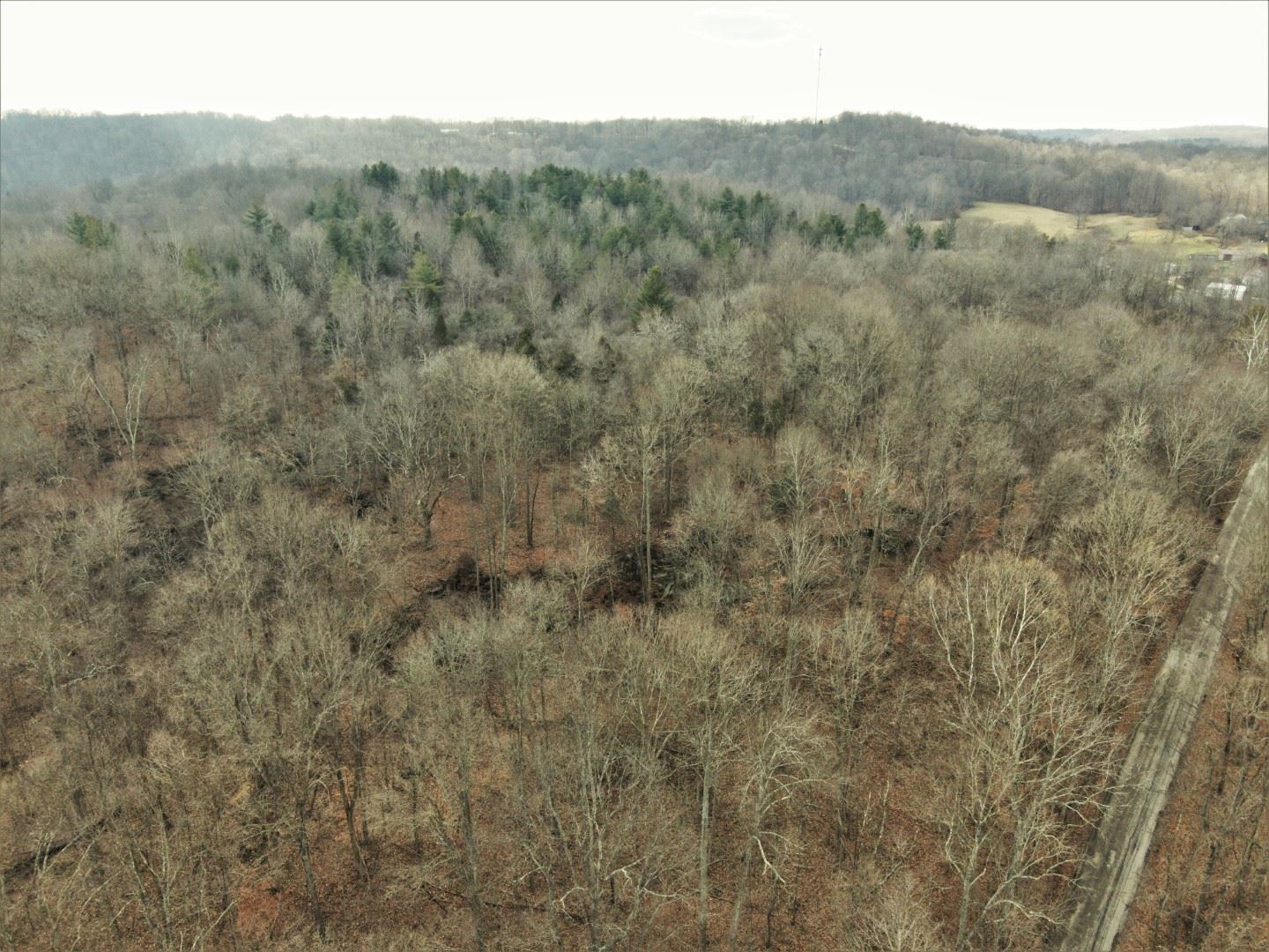 Tbd Hickory Ridge Road Shoals, IN 47581 - Photo 27 of 35