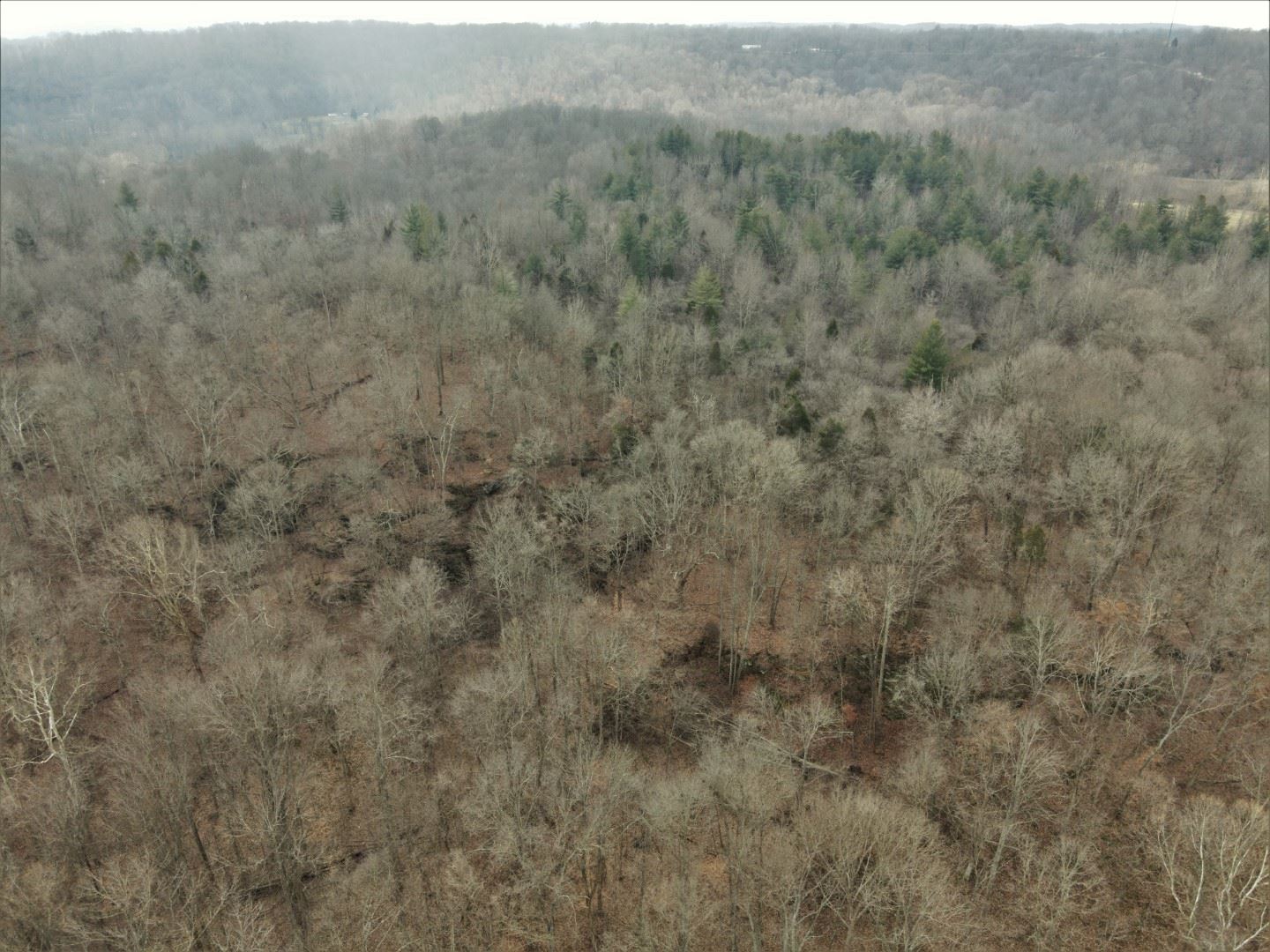 Tbd Hickory Ridge Road Shoals, IN 47581 - Photo 28 of 35