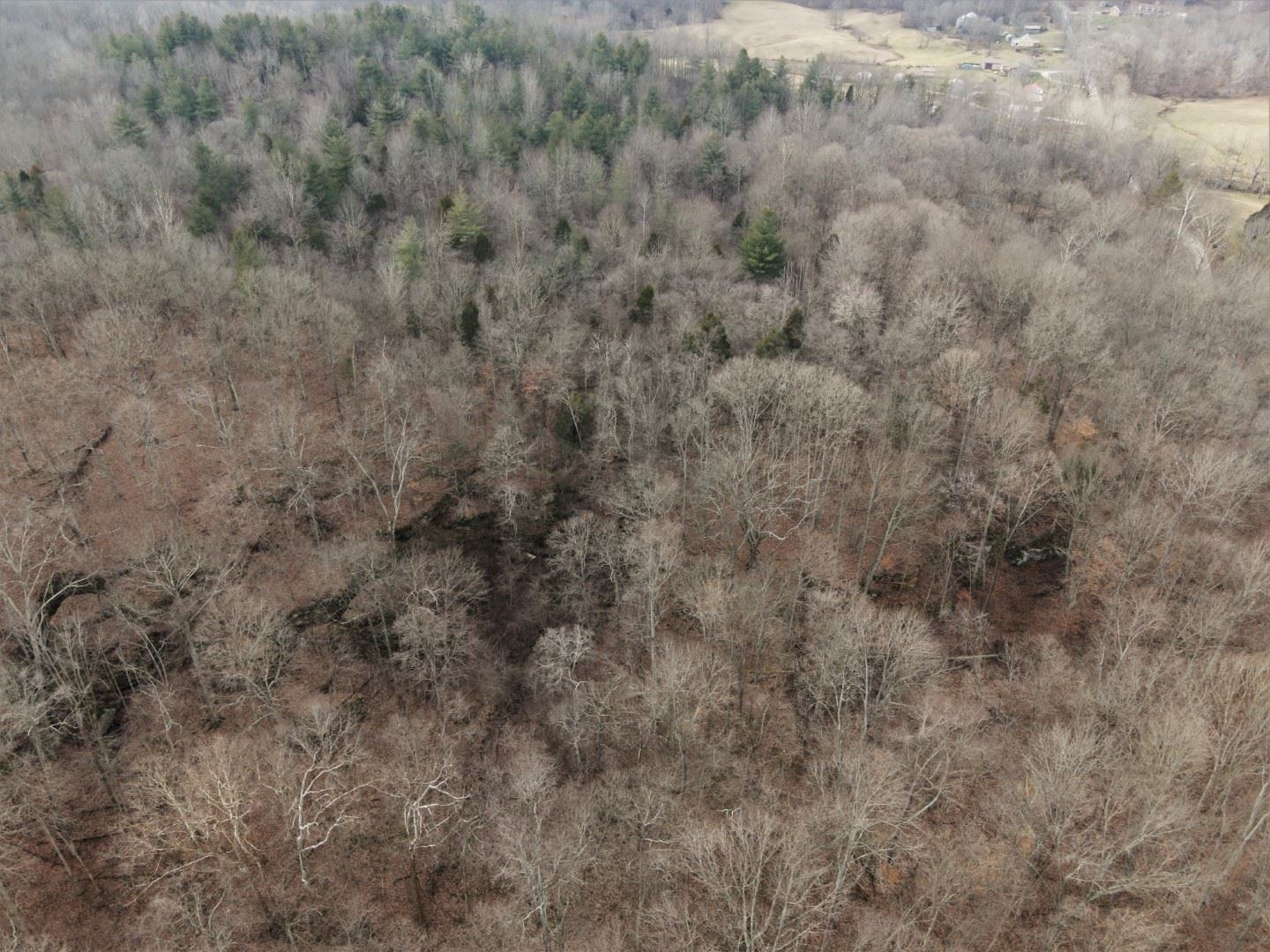 Tbd Hickory Ridge Road Shoals, IN 47581 - Photo 29 of 35