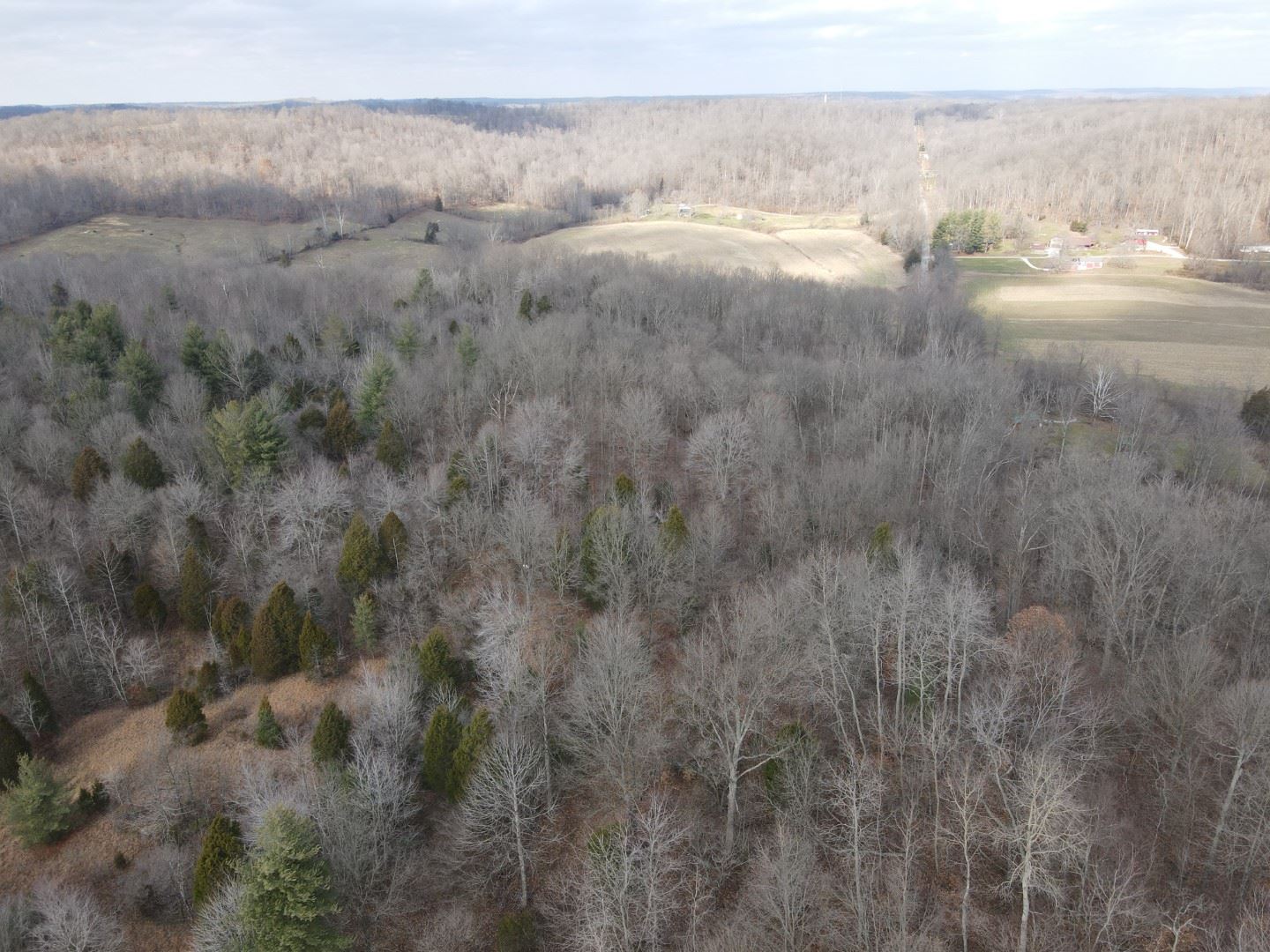 Tbd Hickory Ridge Road Shoals, IN 47581 - Photo 30 of 35