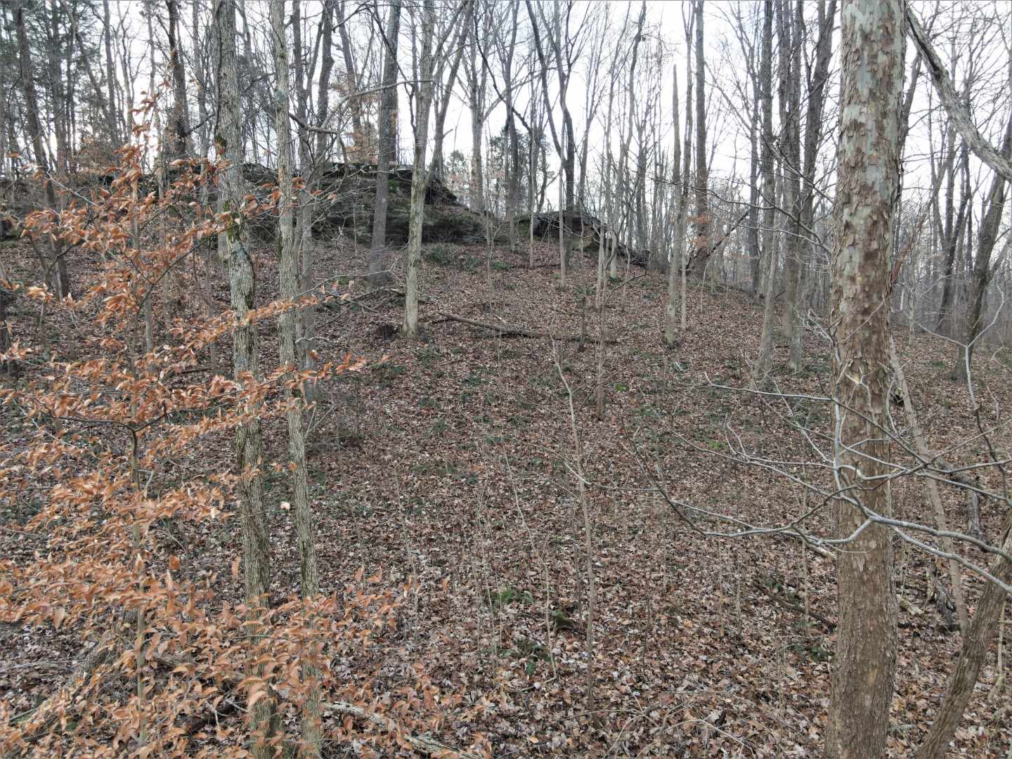 Tbd Hickory Ridge Road Shoals, IN 47581 - Photo 4 of 35