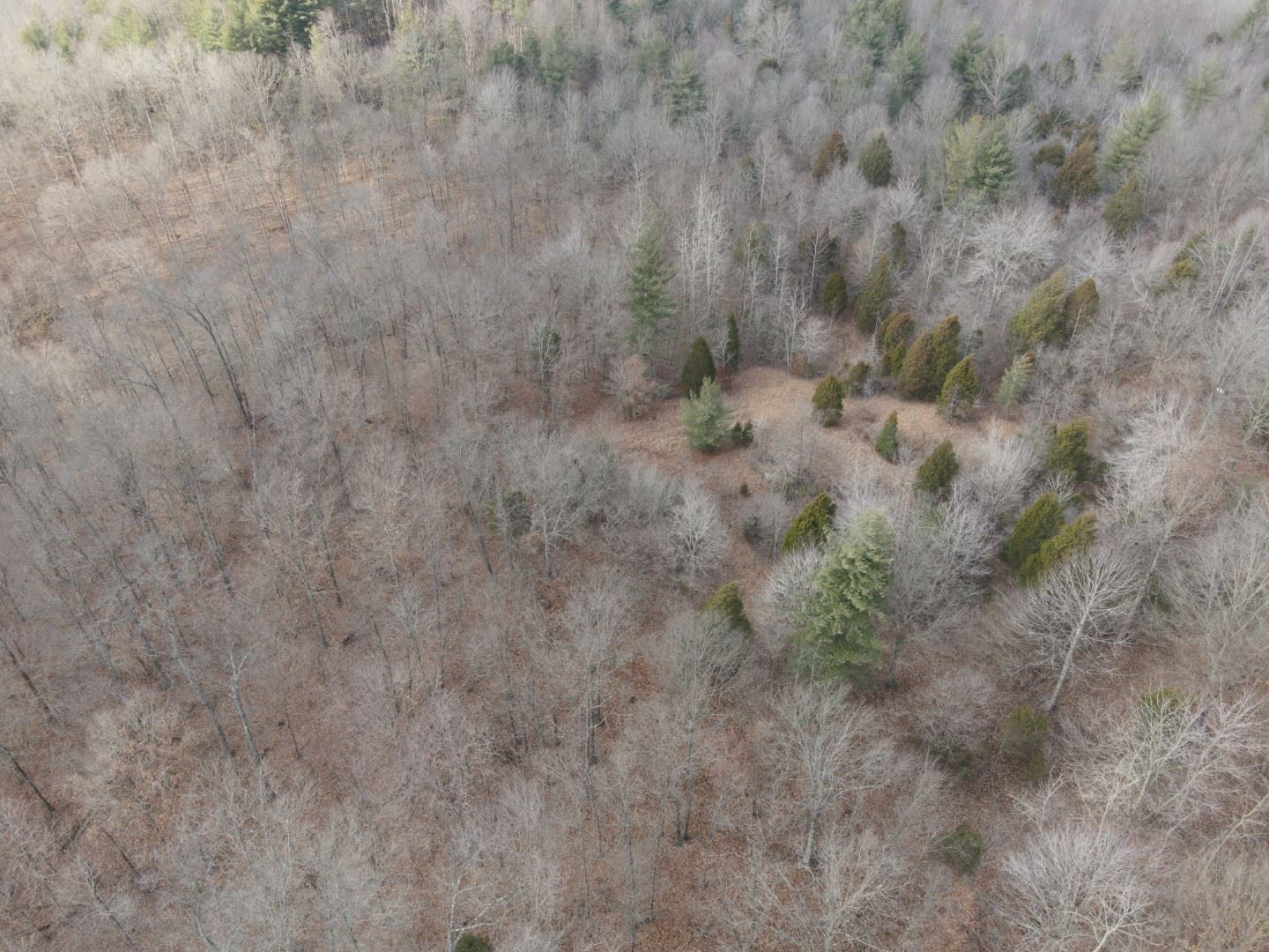Tbd Hickory Ridge Road Shoals, IN 47581 - Photo 31 of 35