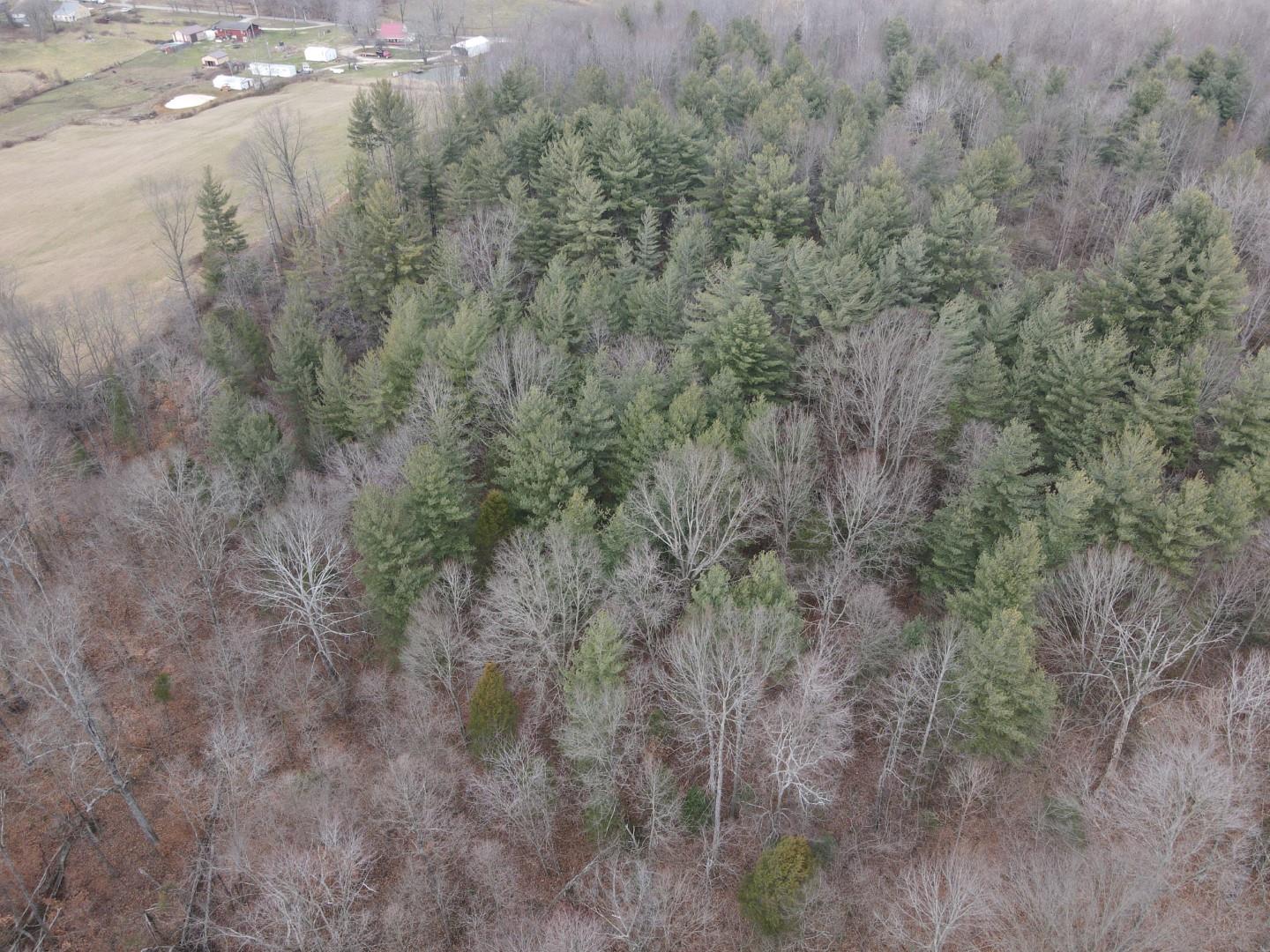 Tbd Hickory Ridge Road Shoals, IN 47581 - Photo 32 of 35