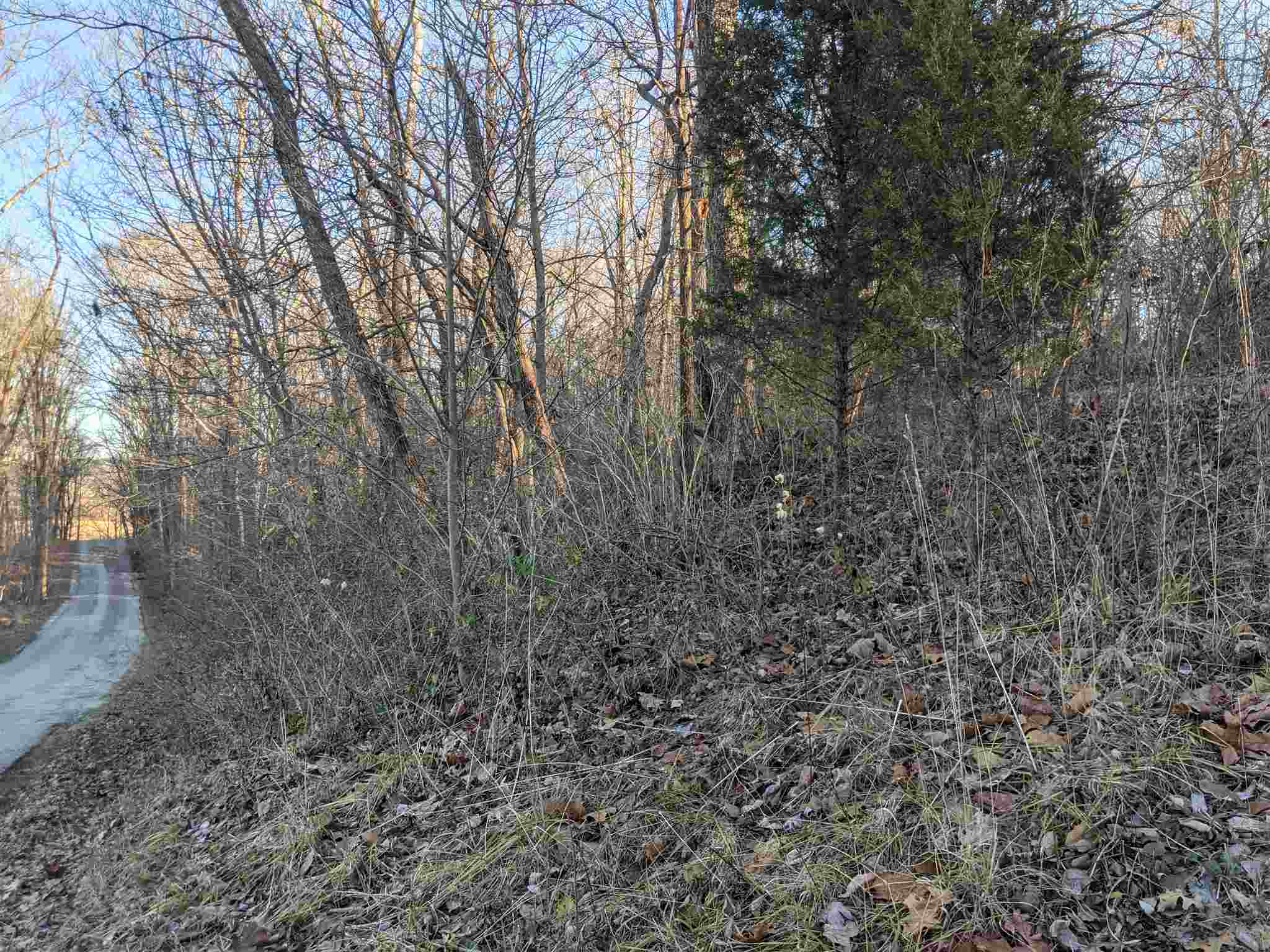 Tbd Hickory Ridge Road Shoals, IN 47581 - Photo 34 of 35