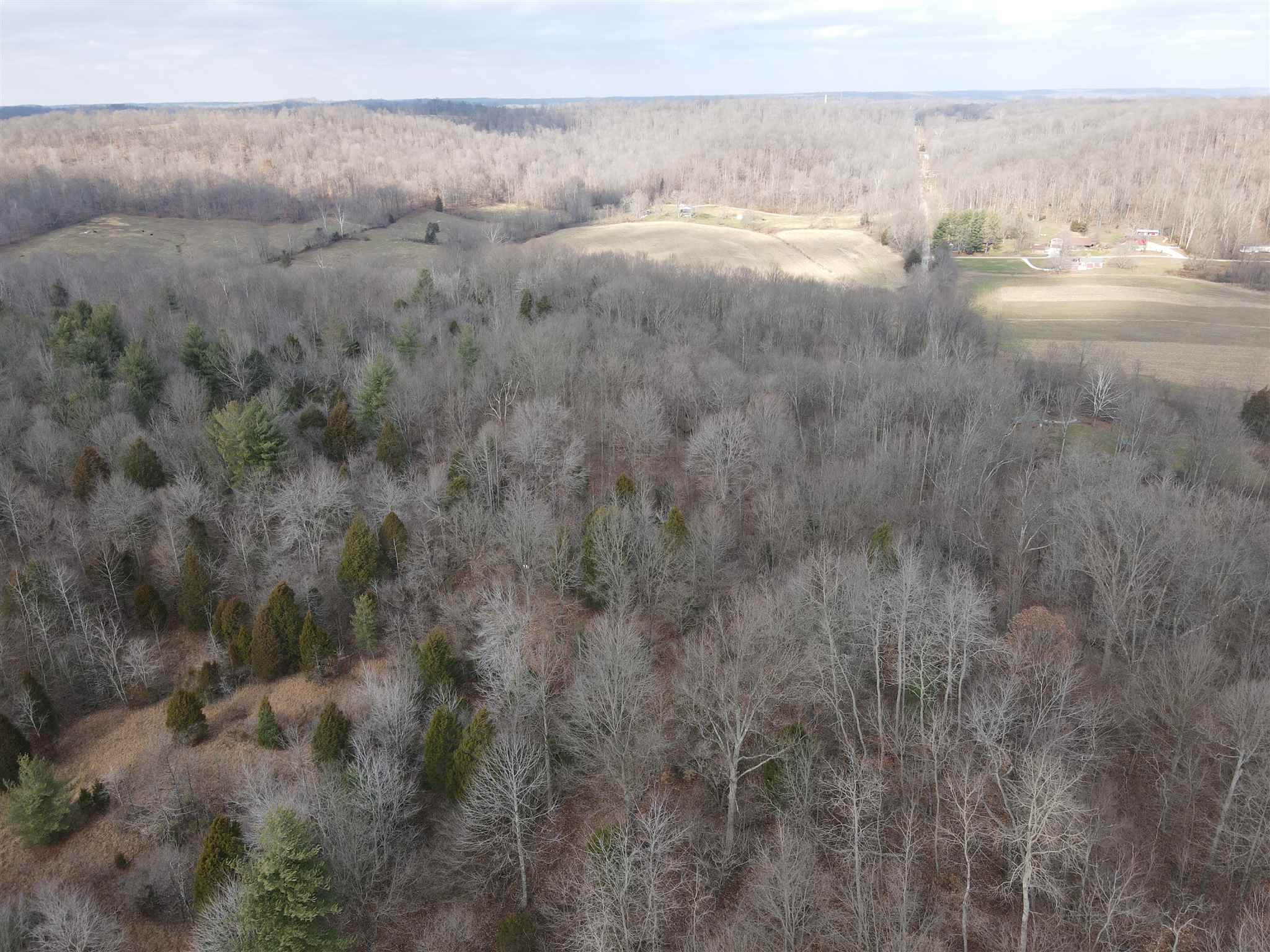 Tbd Hickory Ridge Road Shoals, IN 47581 - Photo 6 of 35