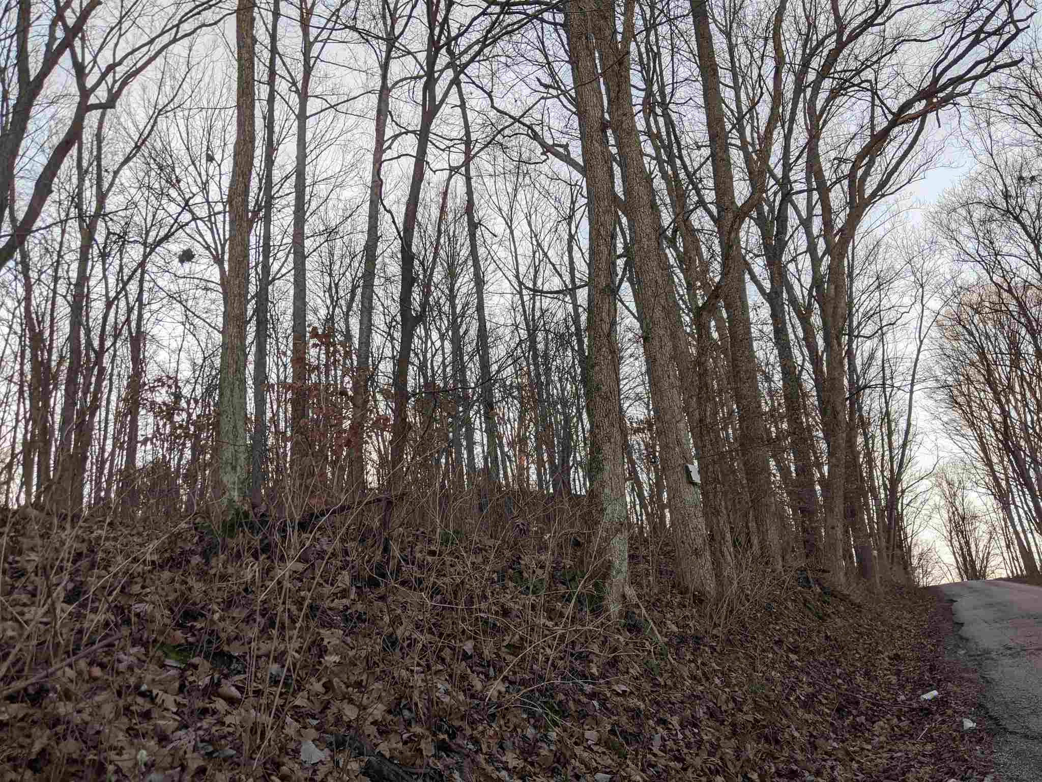 Tbd Hickory Ridge Road Shoals, IN 47581 - Photo 7 of 35