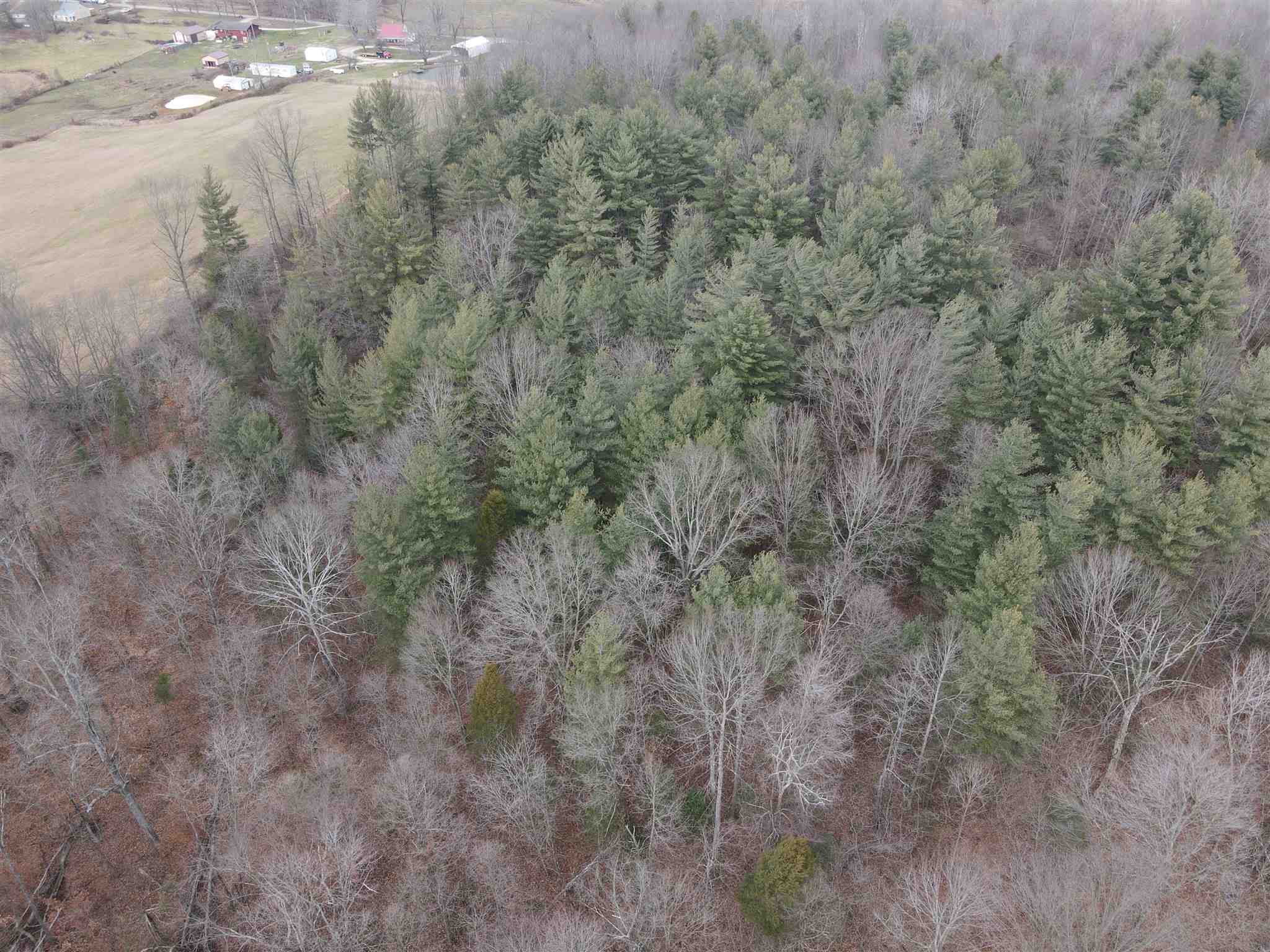 Tbd Hickory Ridge Road Shoals, IN 47581 - Photo 8 of 35