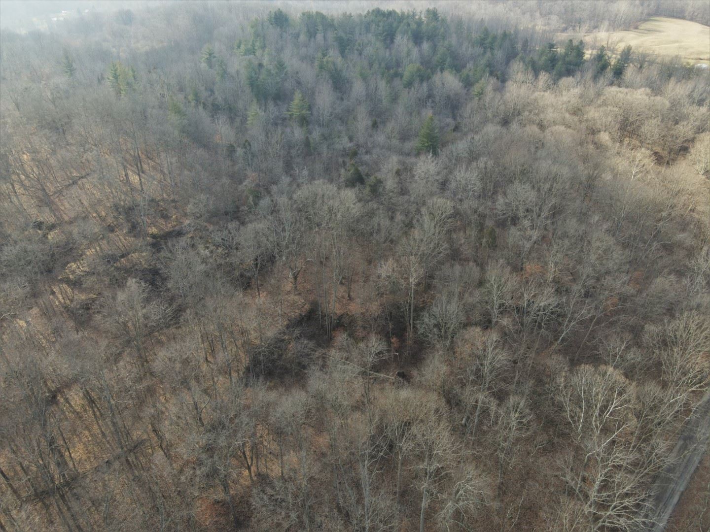 Tbd Hickory Ridge Road Shoals, IN 47581 - Photo 9 of 35