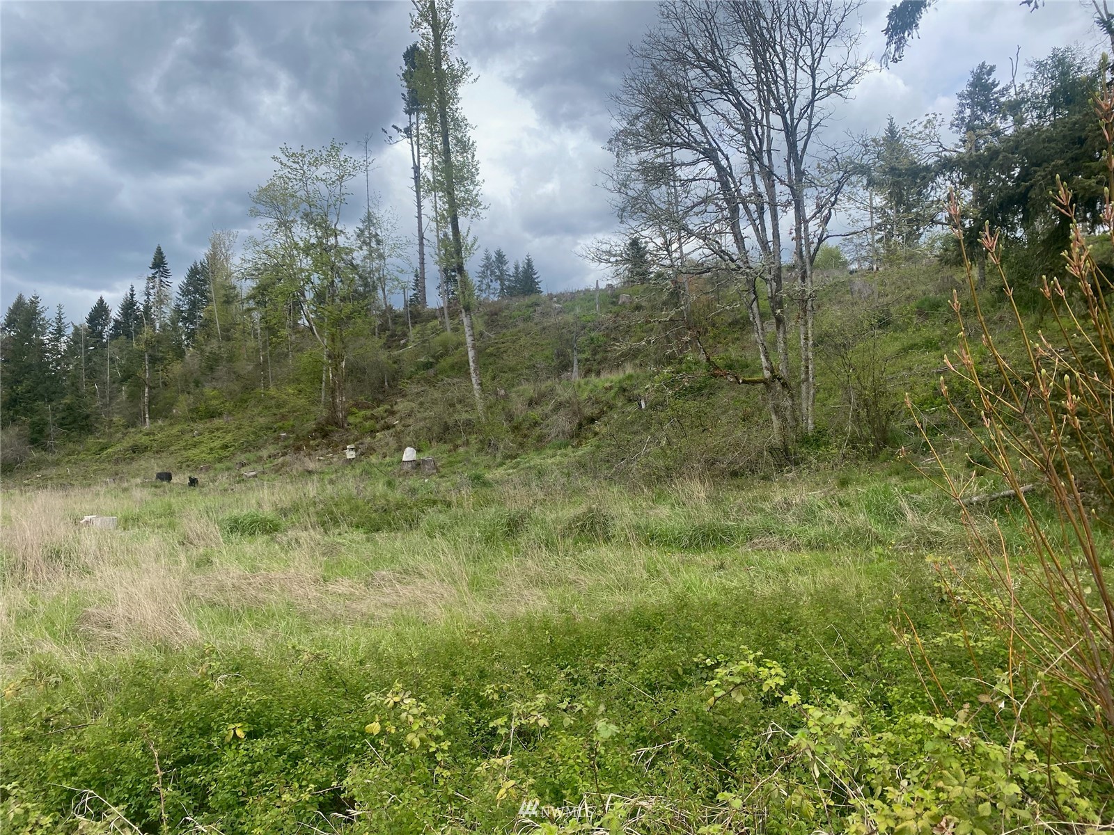 0 Dyson Road Southeast Tenino, WA 98589 - Photo 3 of 8 Gallery Image 3