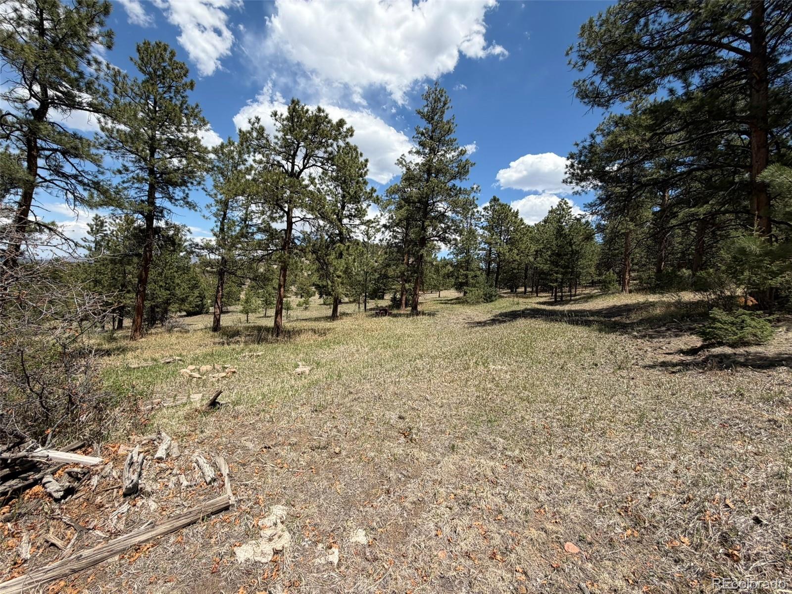 477 Bear Peak Road Westcliffe, CO 81252 - Photo 33 of 39