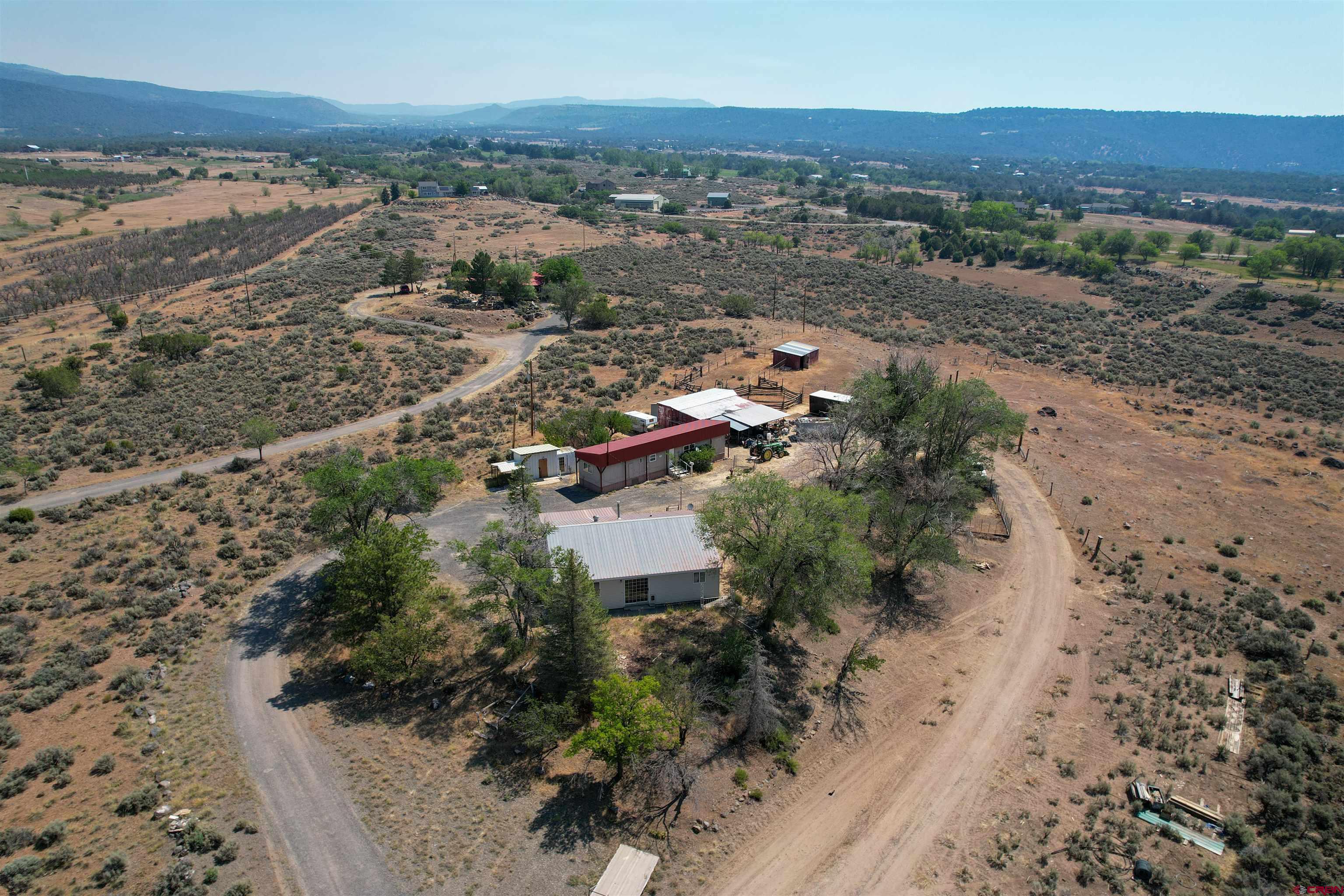 18878 Highway 65 Cedaredge, CO 81413 - Photo 3 of 32