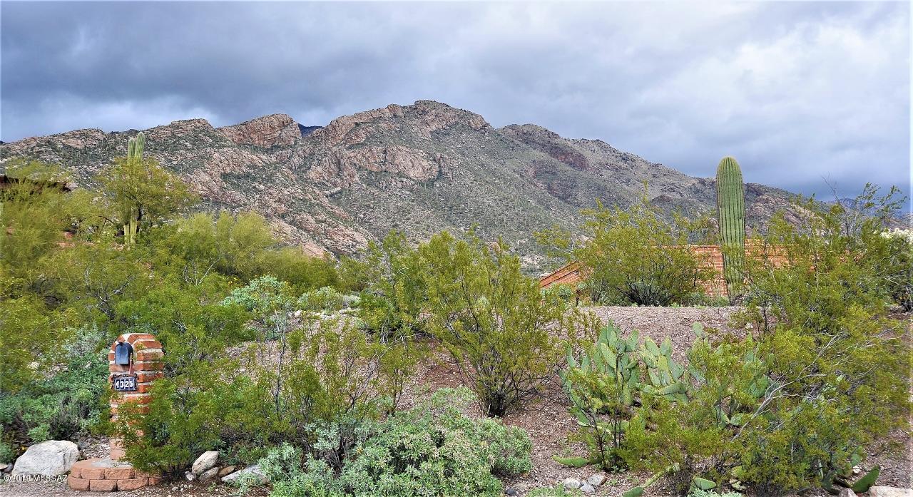 4325 East Havasu Road Tucson, AZ 85718 - Photo 9 of 45 Gallery Image 9
